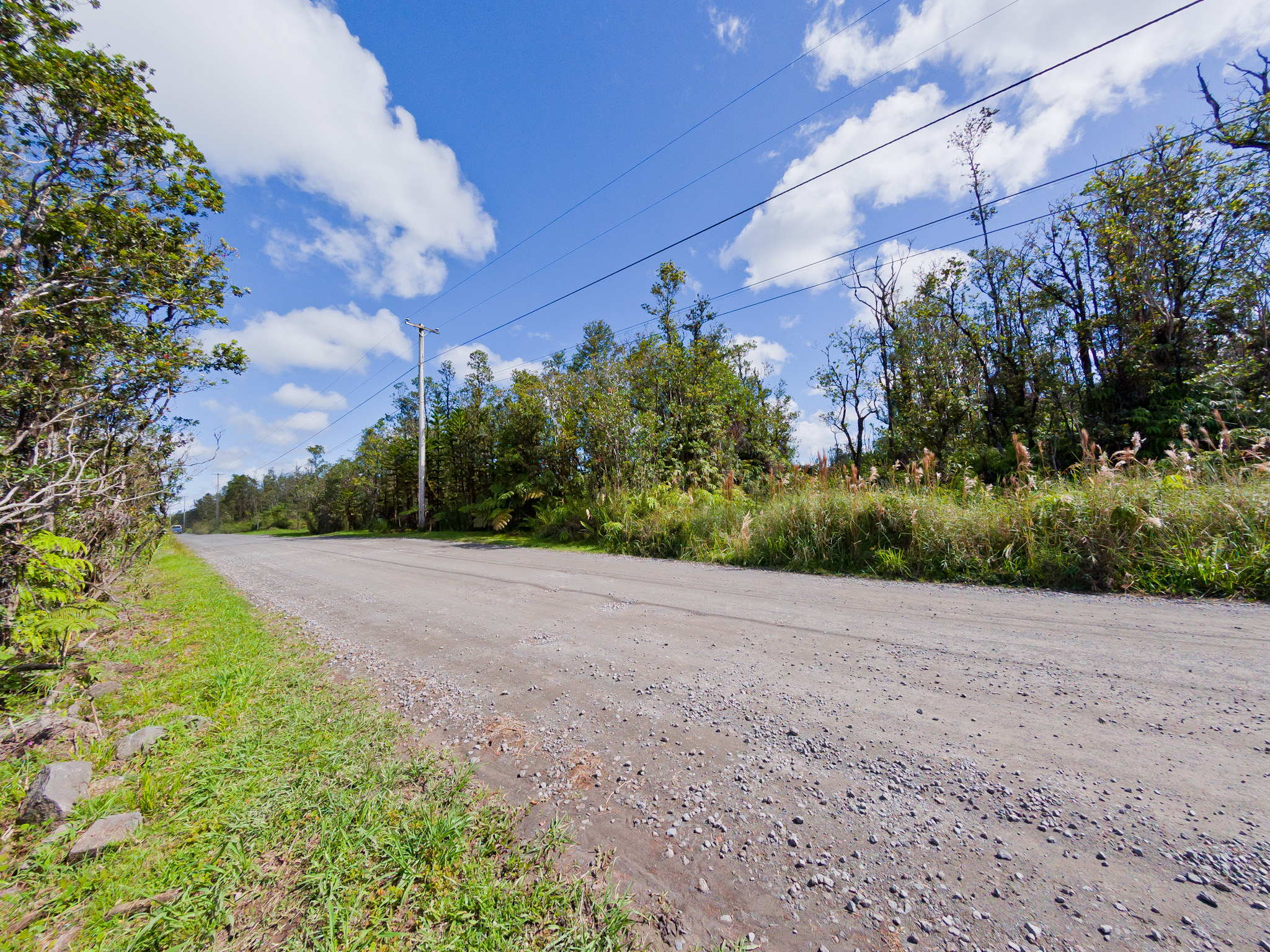 17 Omeka Road Mountain View, HI 96771 - Photo 4 of 30 a view of a field with plants and trees