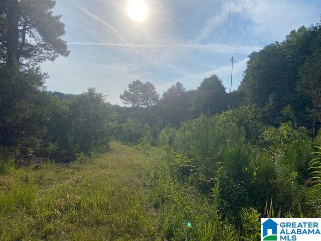 0 Highway 231, Unit 88 / AC Cleveland, AL 35049 - Photo 14 of 20