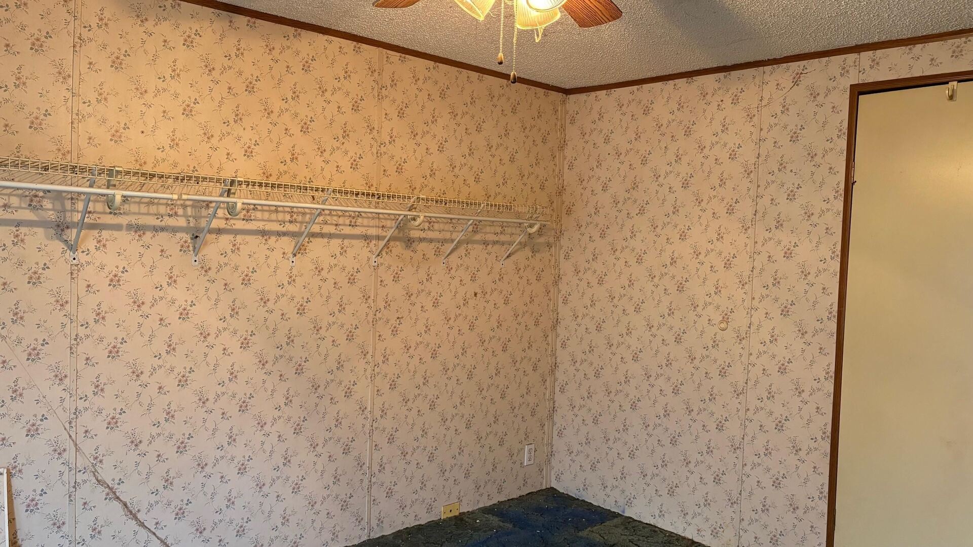 2954 Cardinals Lane Chester, IL 62233 - Photo 18 of 32 a close up view of a shower