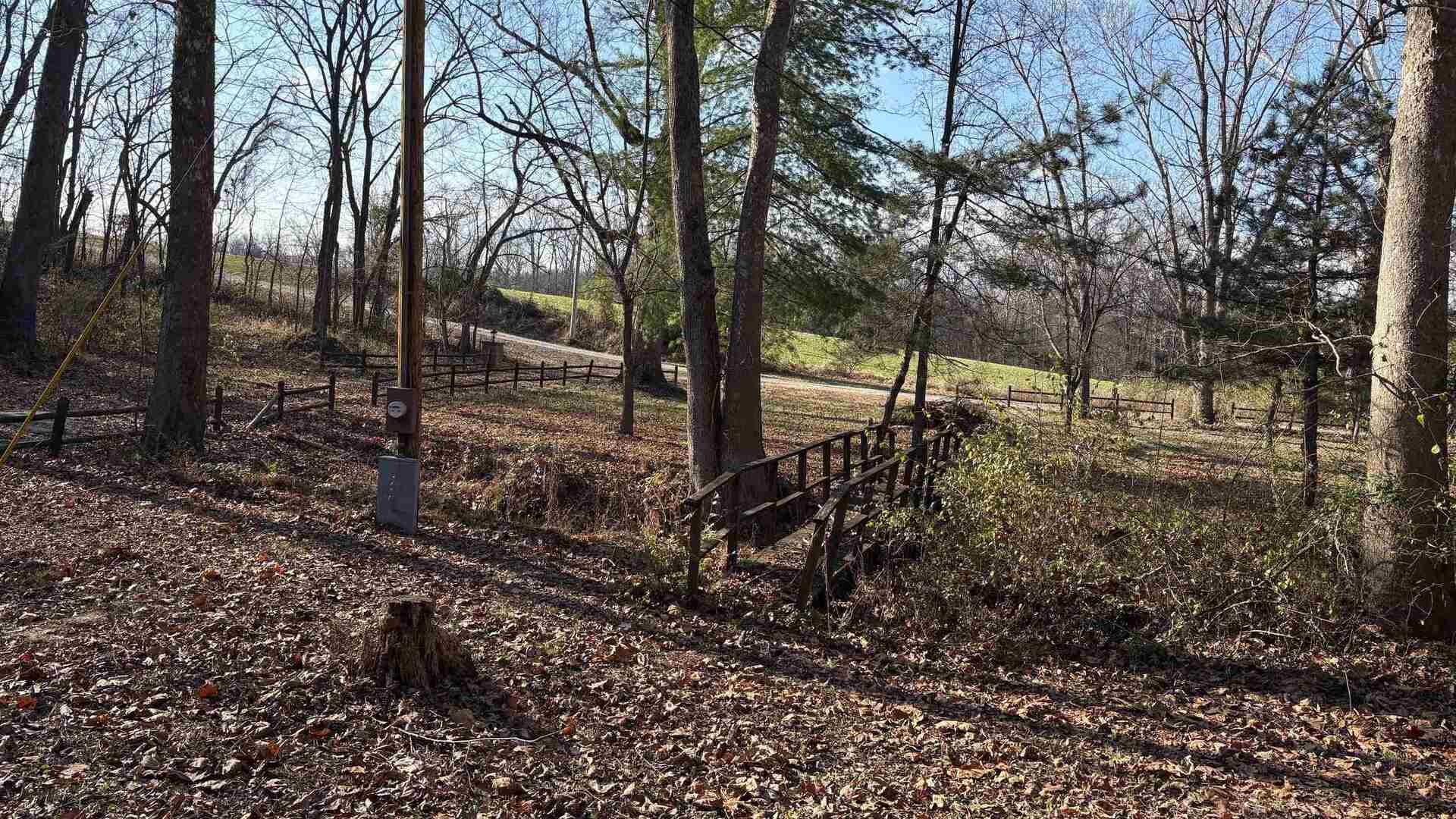 2954 Cardinals Lane Chester, IL 62233 - Photo 26 of 32 a view of a forest with trees