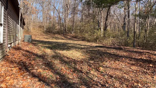 a view of backyard of house
