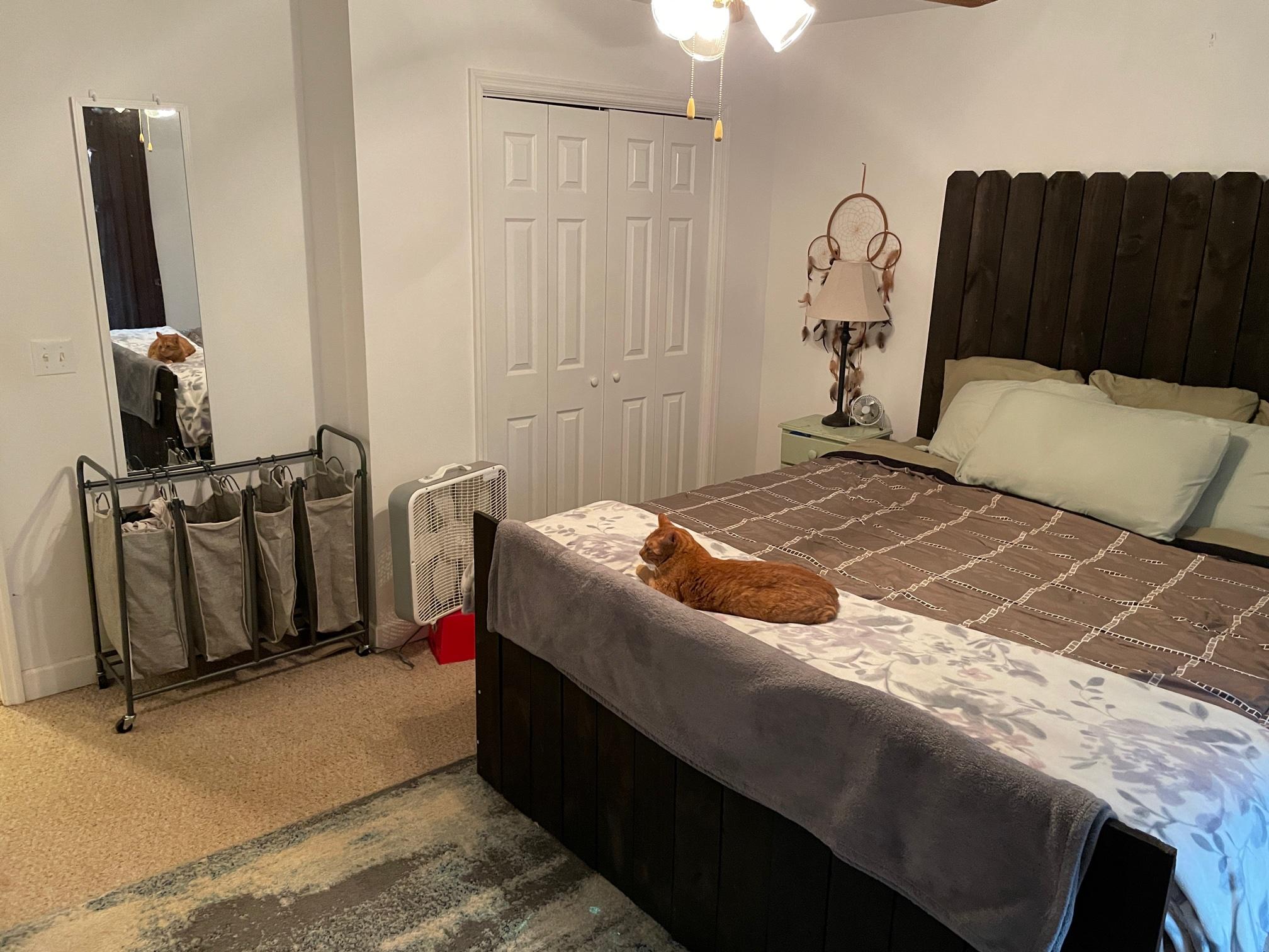 778 Holland Road Callaway, VA 24067 - Photo 15 of 27 a bedroom with a bed tv and a chair