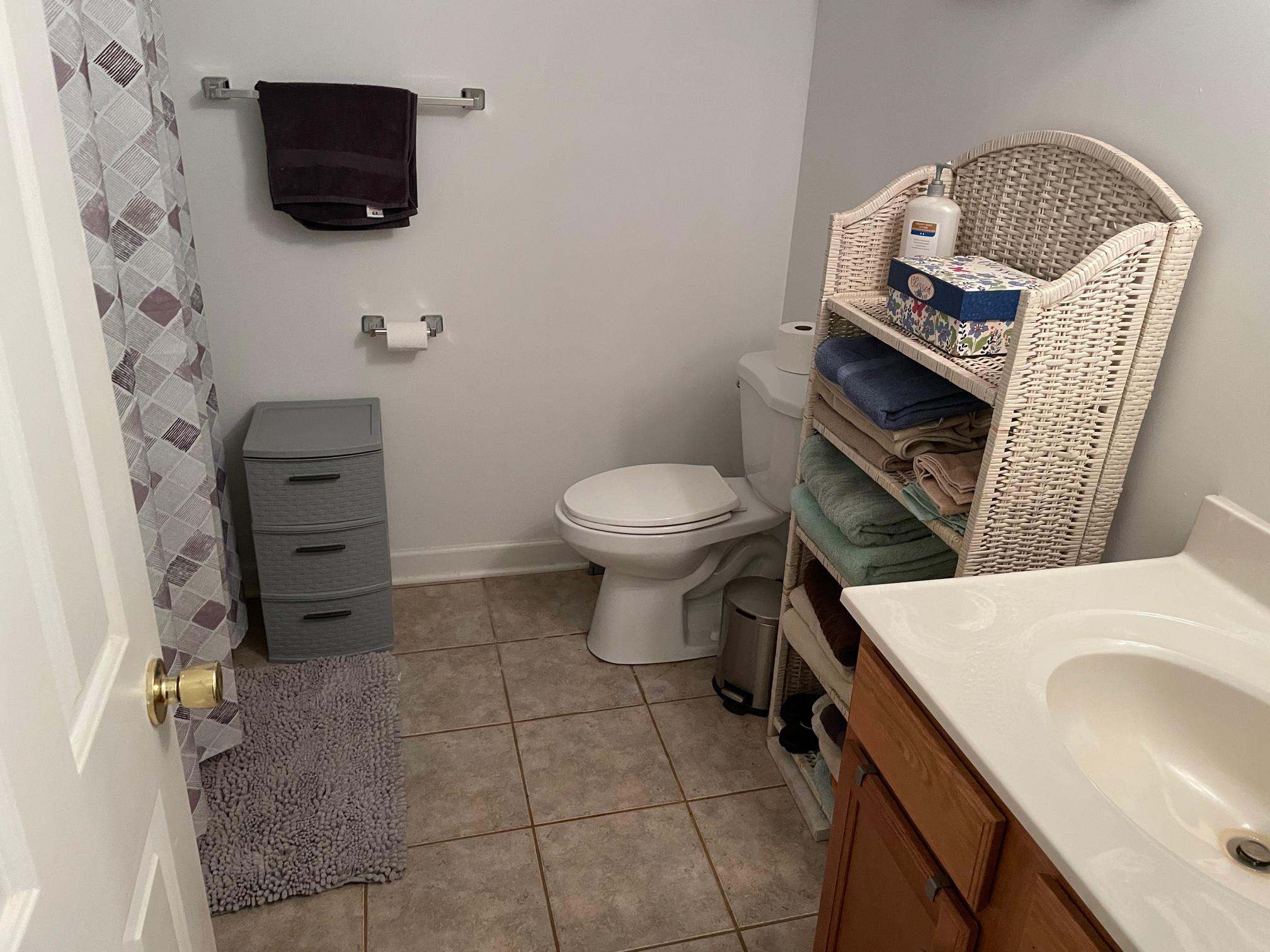 778 Holland Road Callaway, VA 24067 - Photo 18 of 27 a bathroom with a toilet a sink and mirror