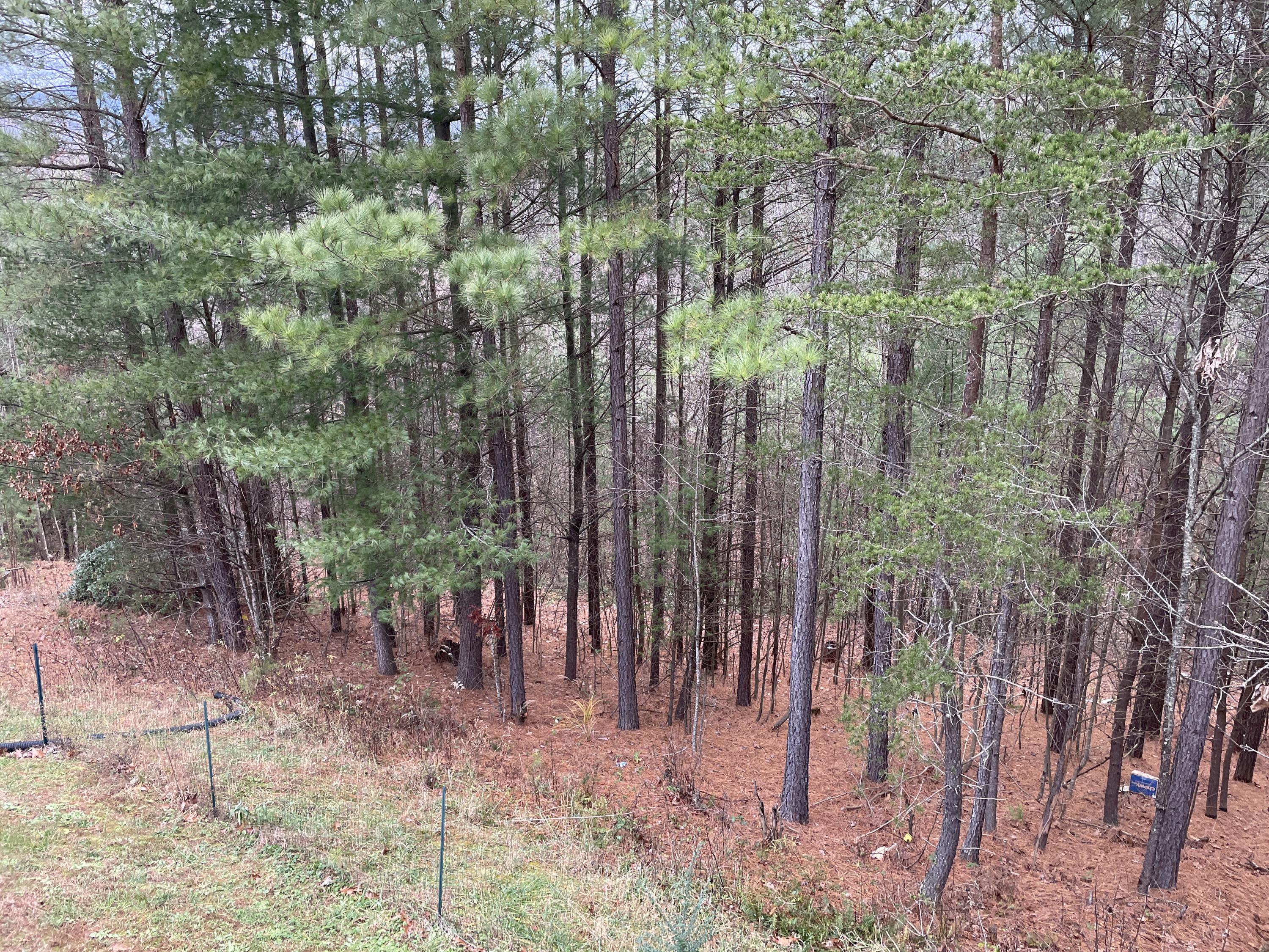 778 Holland Road Callaway, VA 24067 - Photo 26 of 27 a view of outdoor space and yard