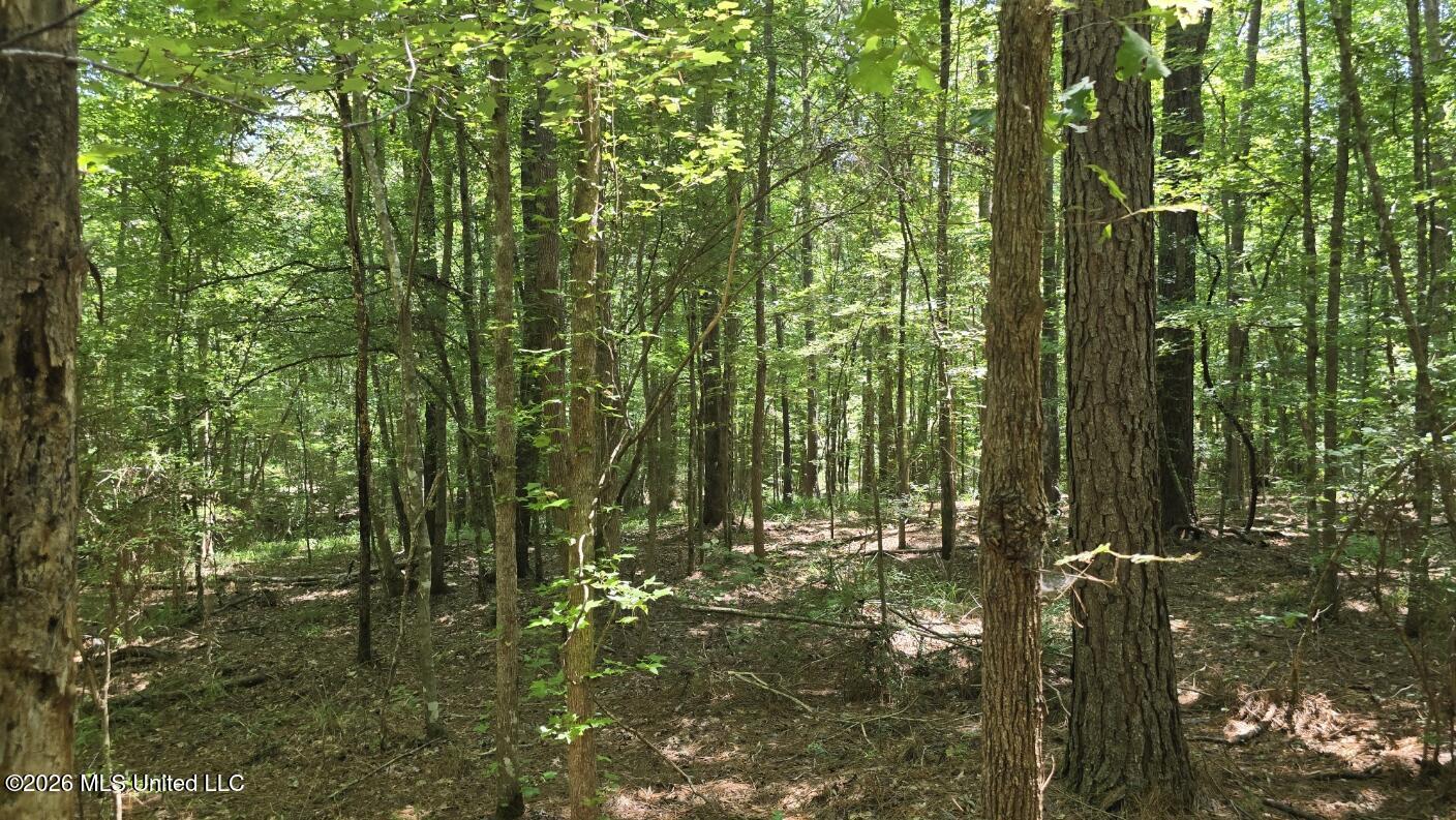 3995 Choctaw Road Brookhaven, MS 39601 - Photo 40 of 73 20260709_114356
