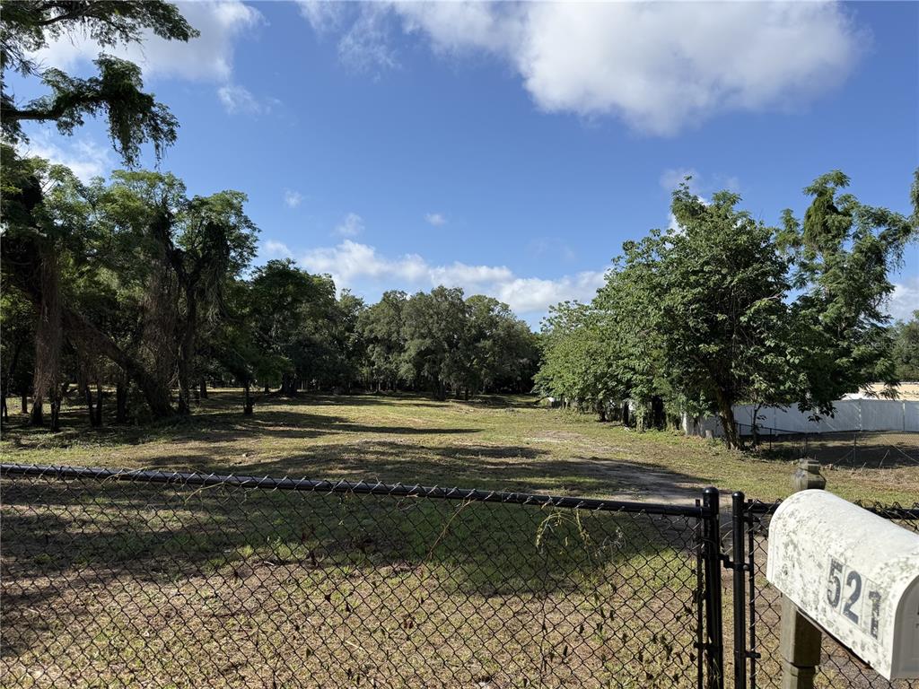 521 East Clay Avenue Brandon, FL 33510 - Photo 7 of 12 a view of a backyard of the house