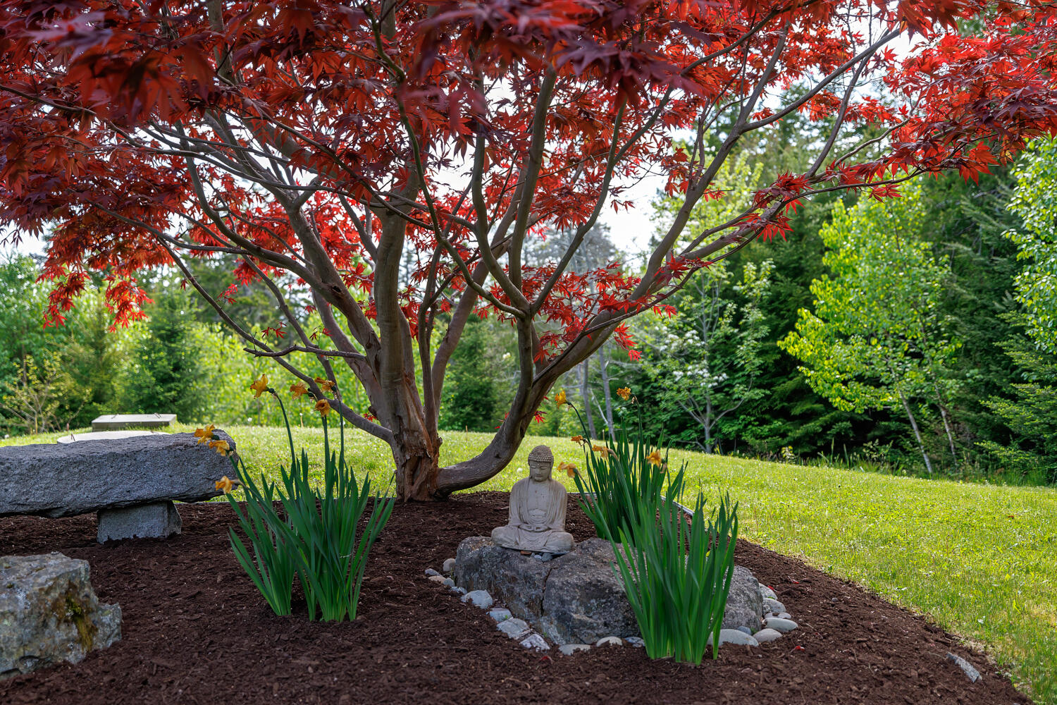 290 Clark Point Road Tremont, ME 04612 - Photo 38 of 44 Landscape