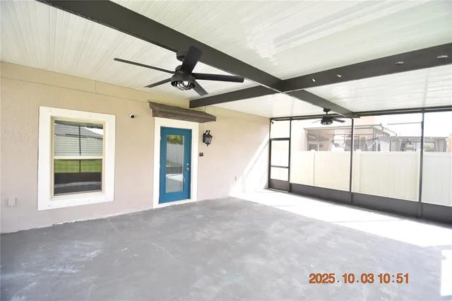 a view of a backyard with plants and a large tree