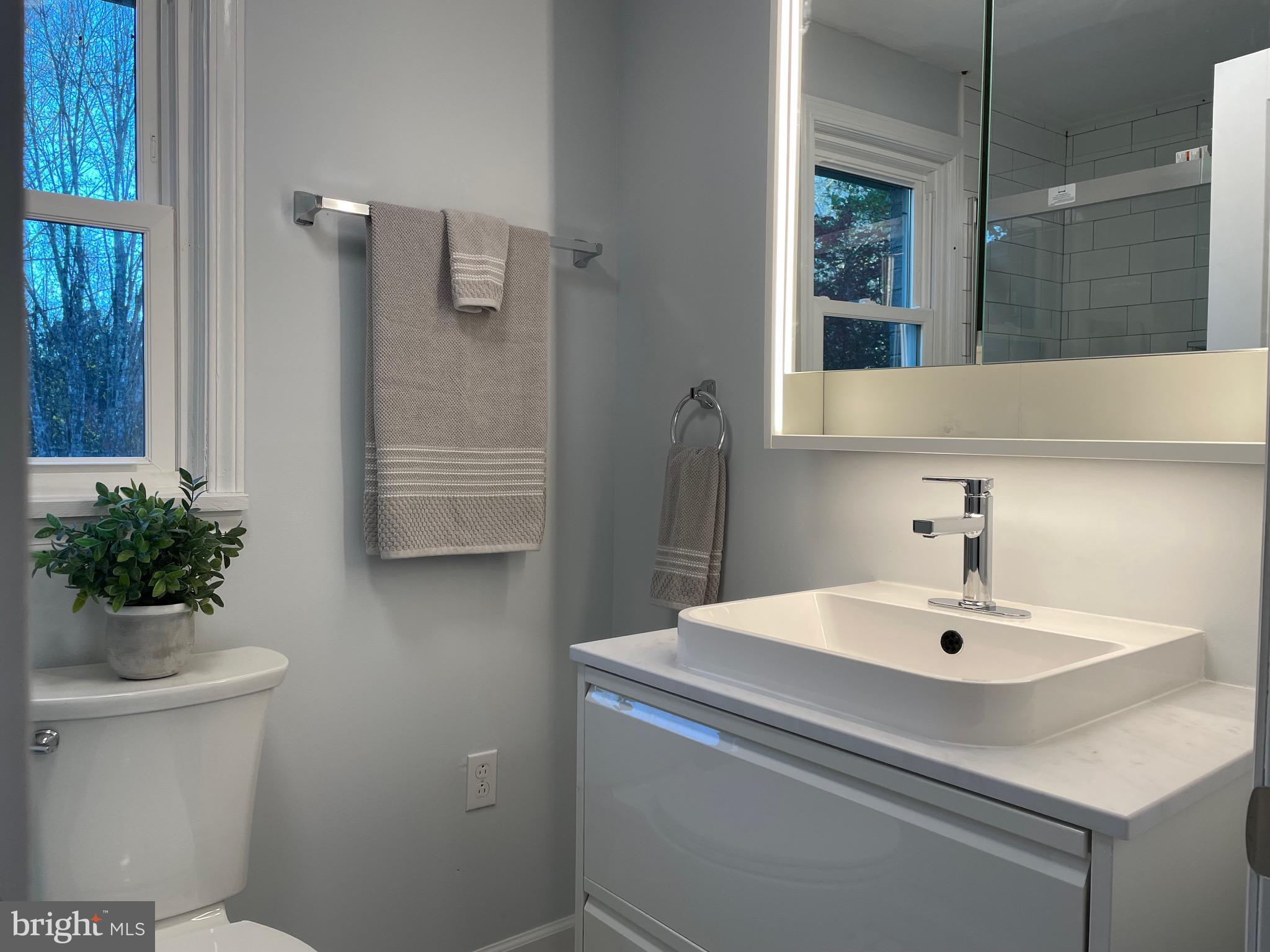 240 Whorton Hollow Road Castleton, VA 22716 - Photo 7 of 24 a bathroom with a sink a toilet and shower
