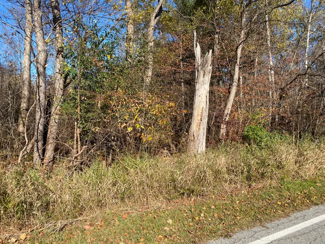 $54,900 | V/l West Edgerton Street, Howard City, MI 49329