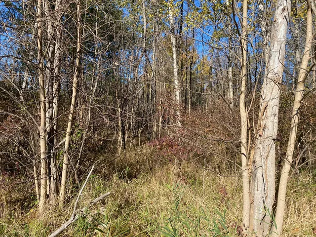 $54,900 | V/l West Edgerton Street, Howard City, MI 49329