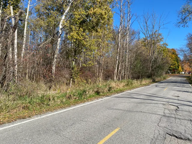 $54,900 | V/l West Edgerton Street, Howard City, MI 49329