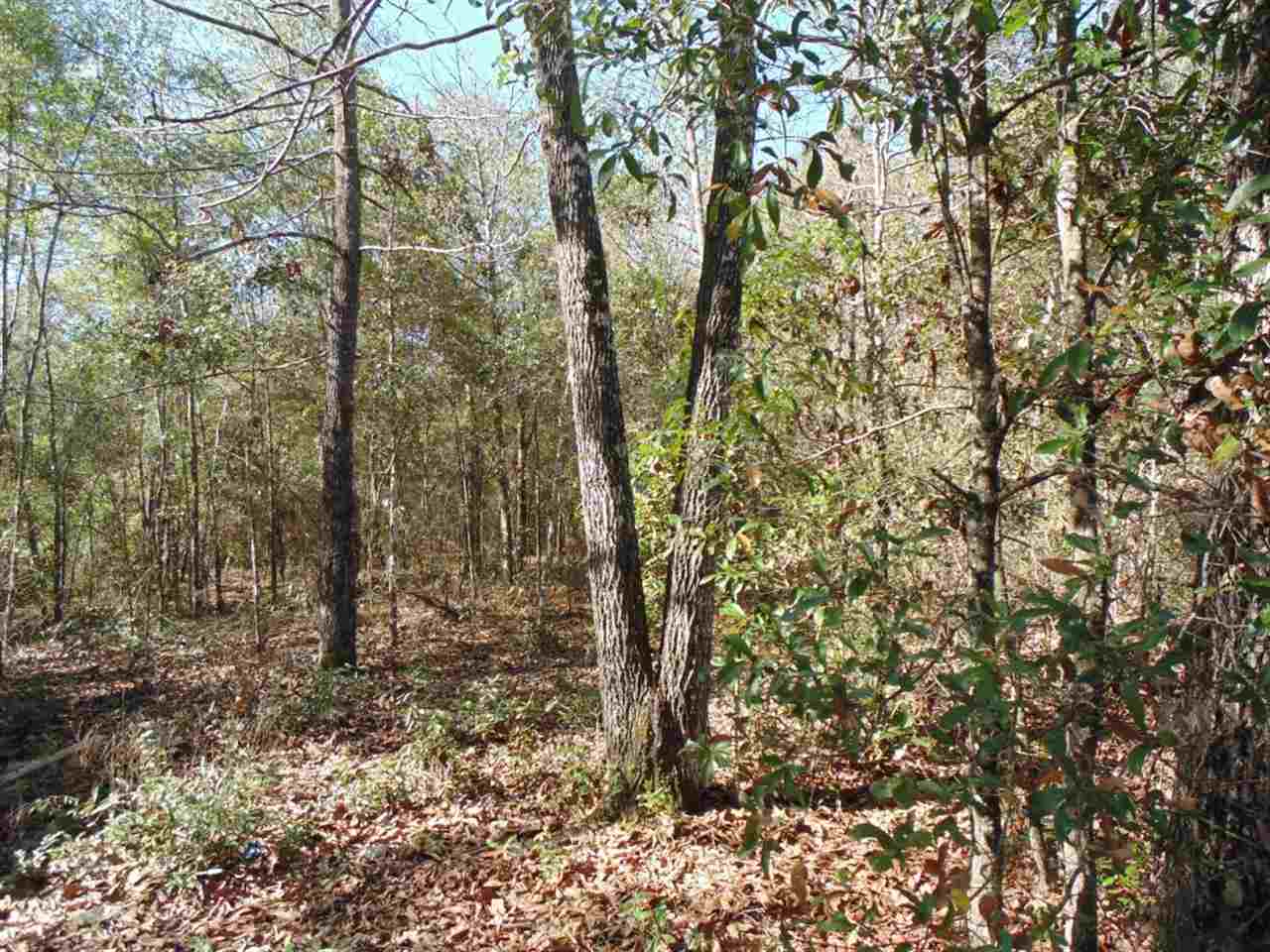 88 Rochelle Lane Monticello, FL 32344 - Photo 20 of 25 Gallery Image 20