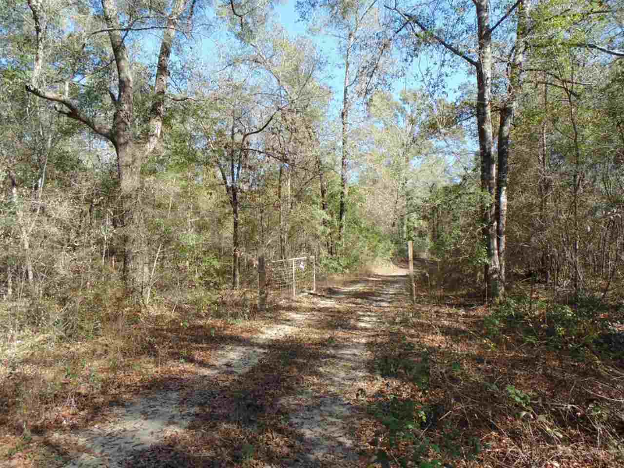 88 Rochelle Lane Monticello, FL 32344 - Photo 2 of 25 Gallery Image 2