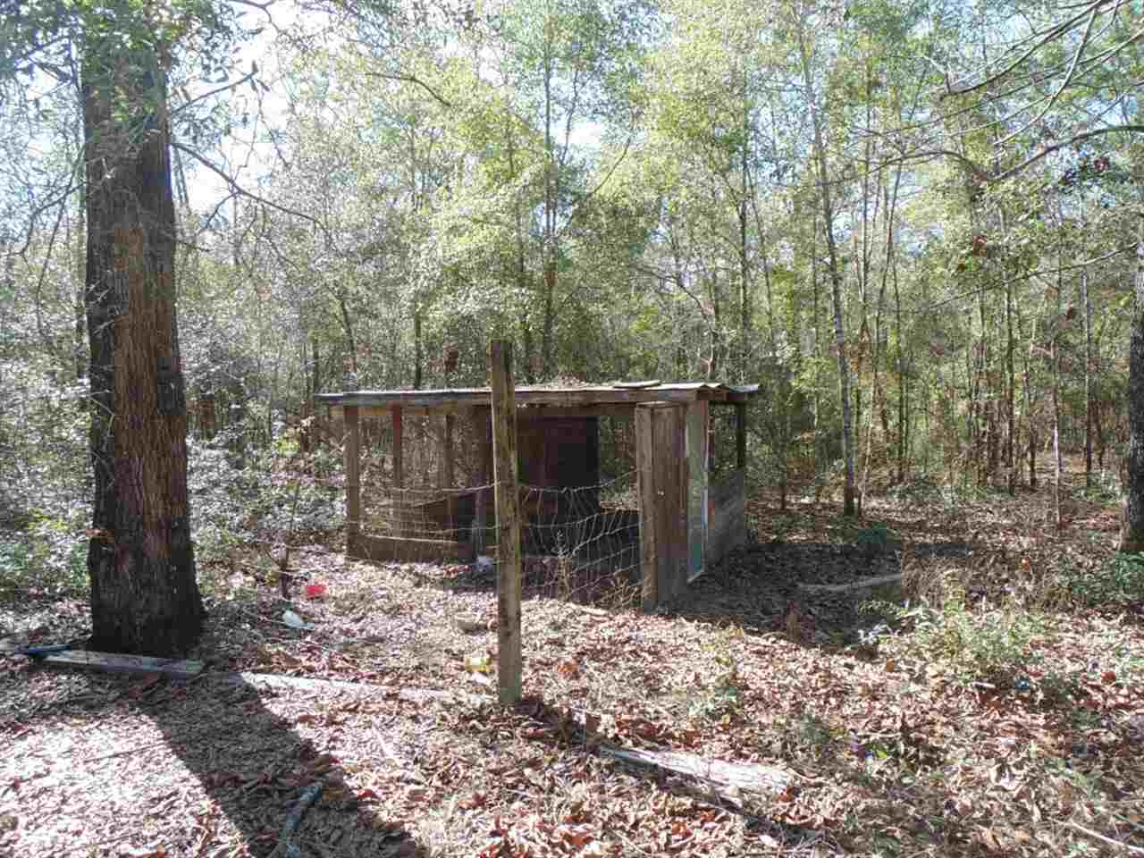 88 Rochelle Lane Monticello, FL 32344 - Photo 22 of 25 Gallery Image 22