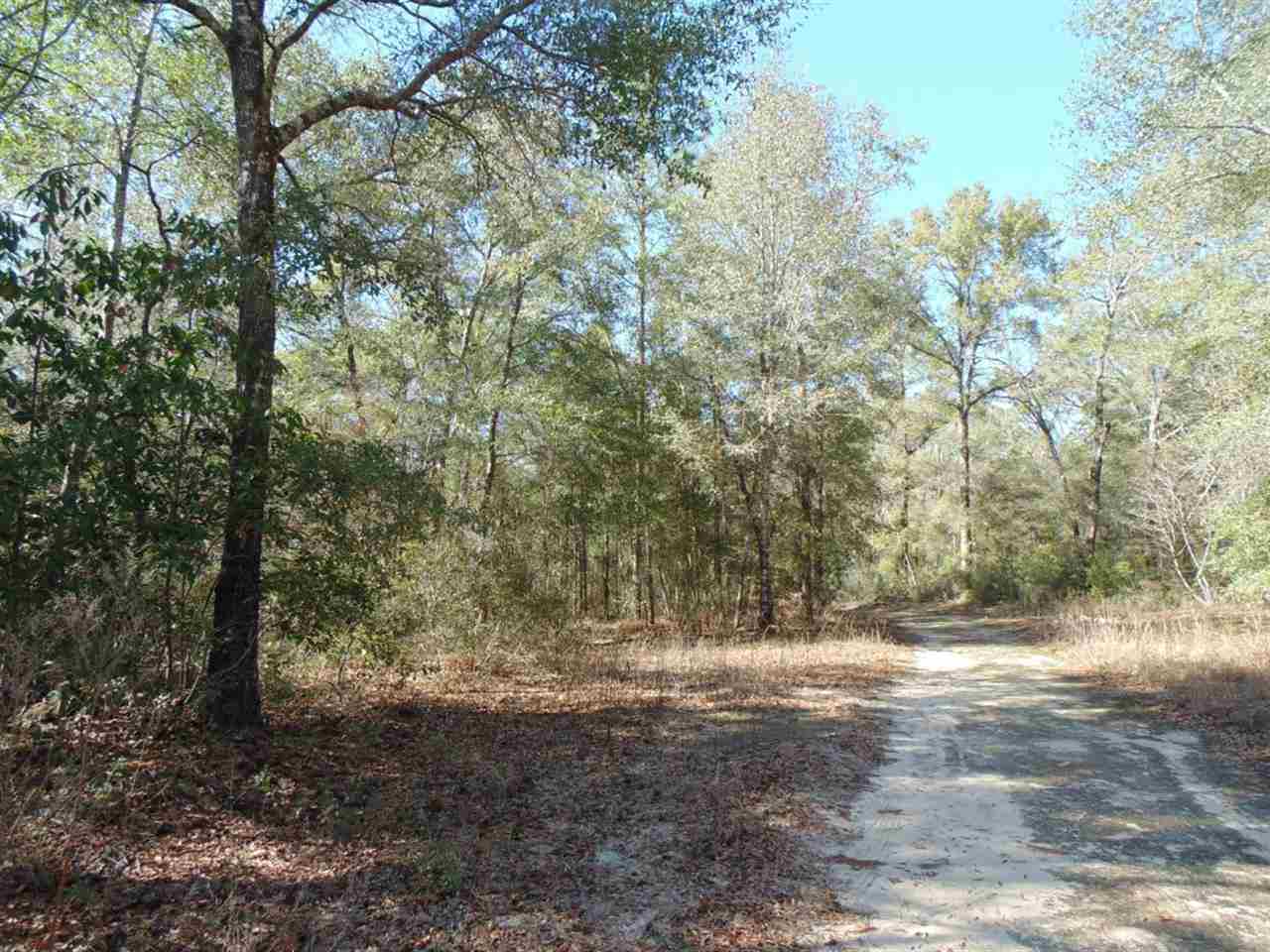 88 Rochelle Lane Monticello, FL 32344 - Photo 24 of 25 Gallery Image 24