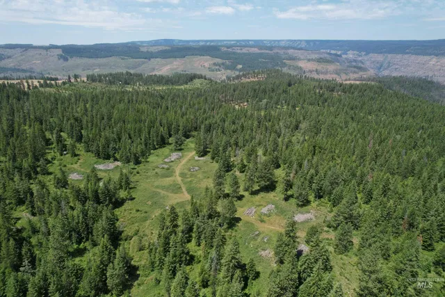 $1,408,000 | Tbd Sickfoot Road, Wallowa, OR 97885