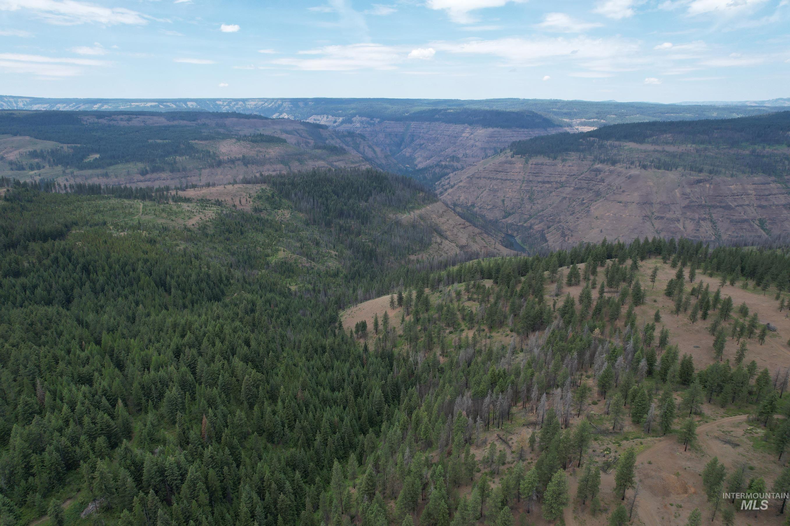 Tbd Sickfoot Road Wallowa, OR 97885 - Photo 12 of 18 Drone / aerial view of a mountain backdrop and a forest
