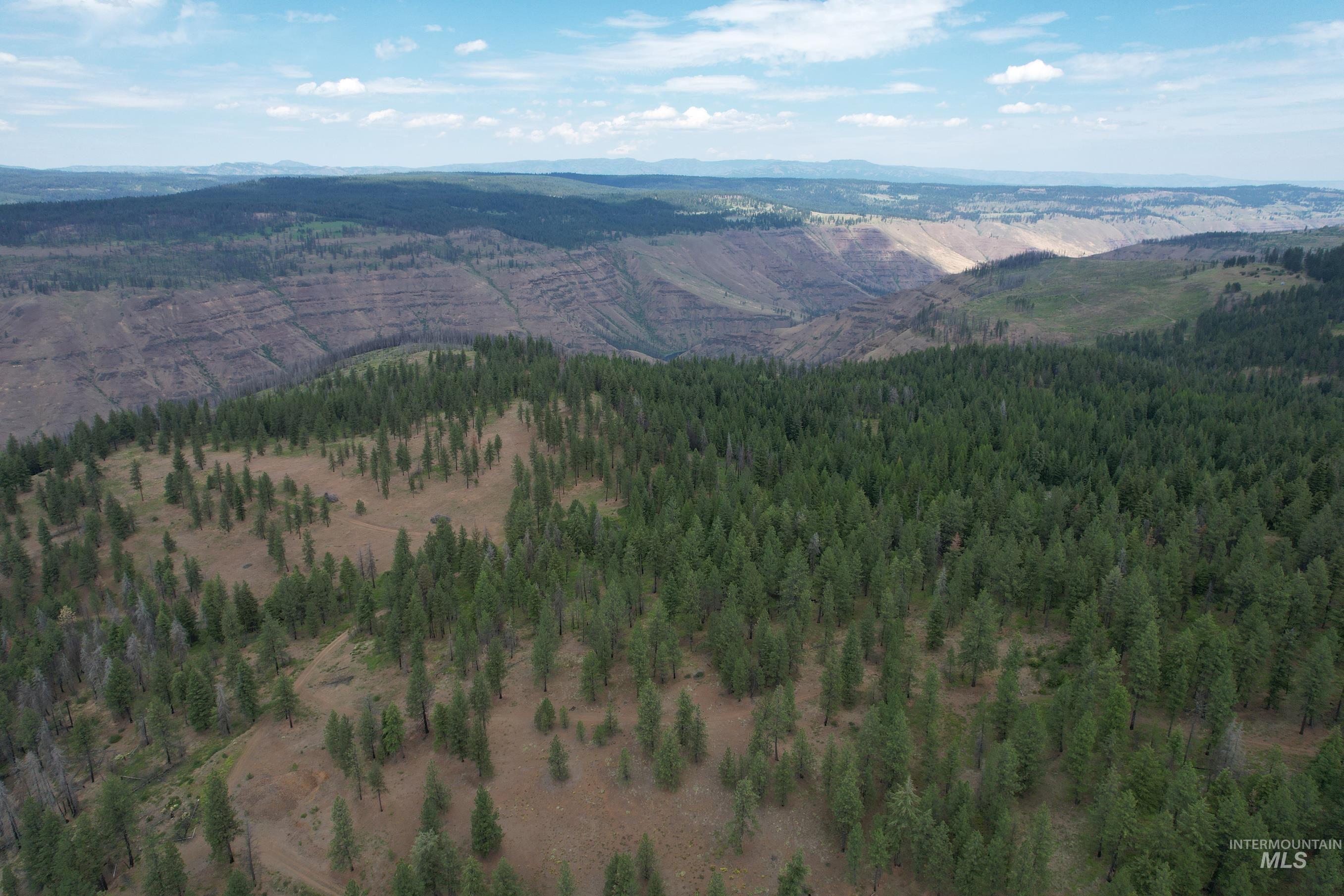 Tbd Sickfoot Road Wallowa, OR 97885 - Photo 13 of 18 Mountain view featuring a forest