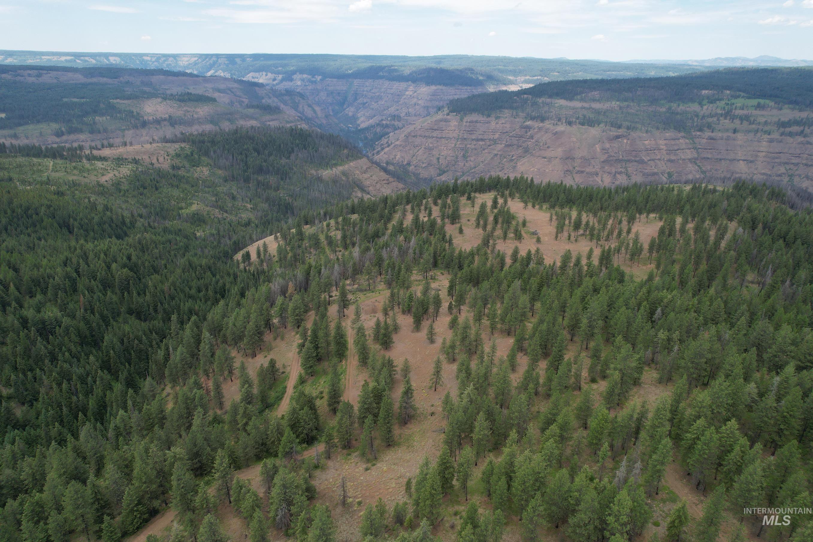 Tbd Sickfoot Road Wallowa, OR 97885 - Photo 14 of 18 Aerial view of property and surrounding area featuring a mountainous background and a heavily wooded area