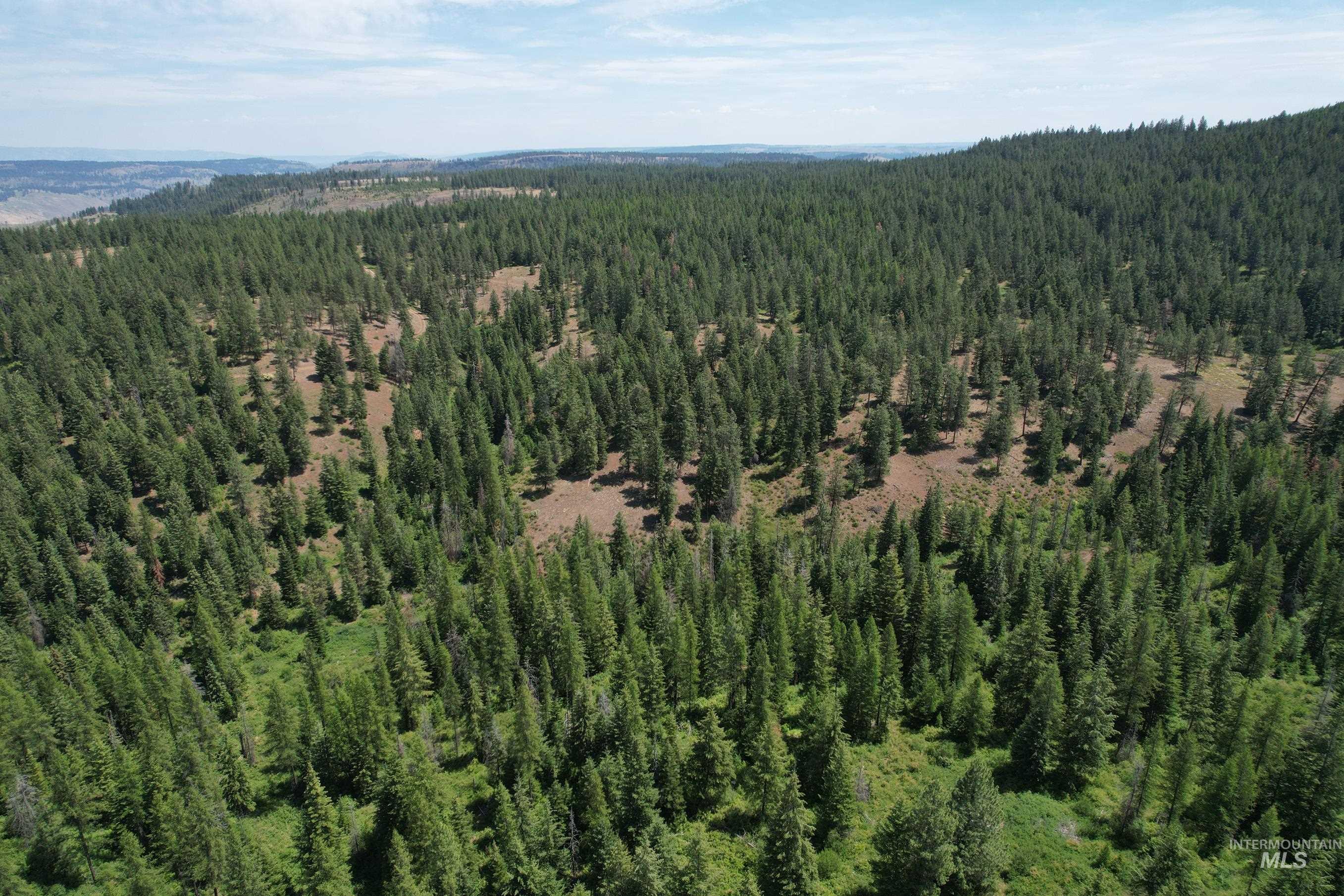 Tbd Sickfoot Road Wallowa, OR 97885 - Photo 2 of 18 View of property location with a heavily wooded area