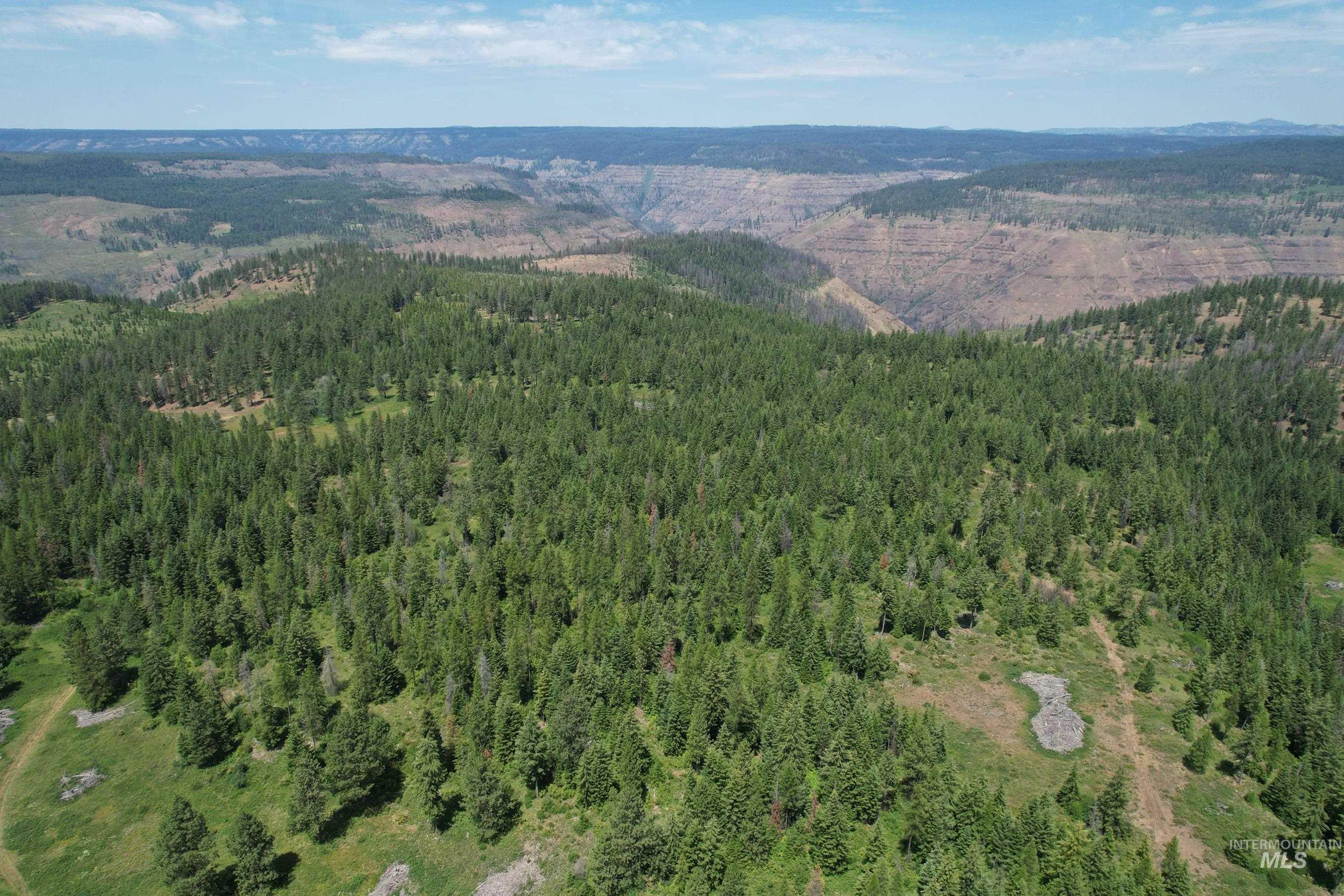 Tbd Sickfoot Road Wallowa, OR 97885 - Photo 4 of 18 Aerial view of property and surrounding area with a heavily wooded area and a mountain backdrop