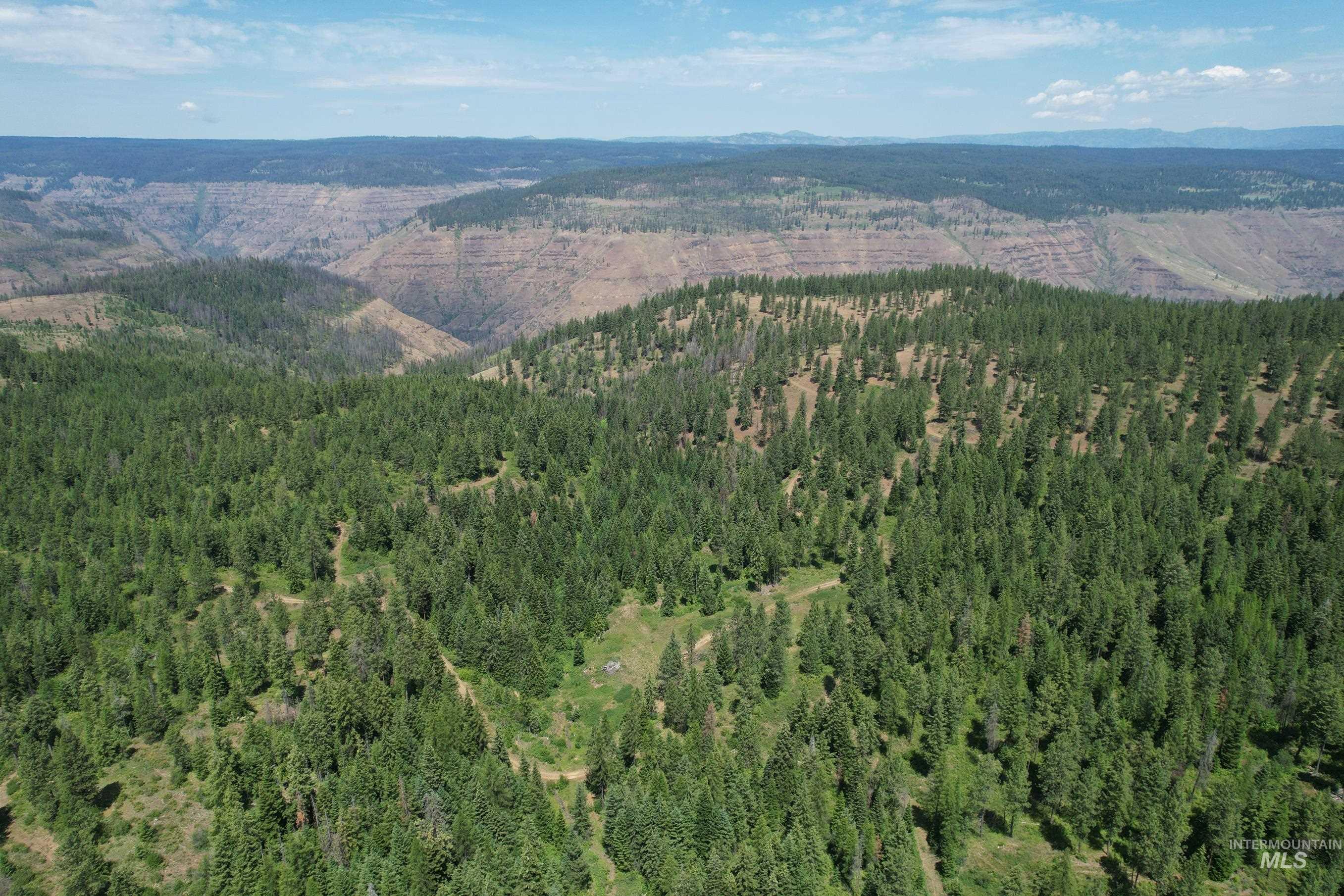 Tbd Sickfoot Road Wallowa, OR 97885 - Photo 6 of 18 View of property location with a heavily wooded area and a mountainous background