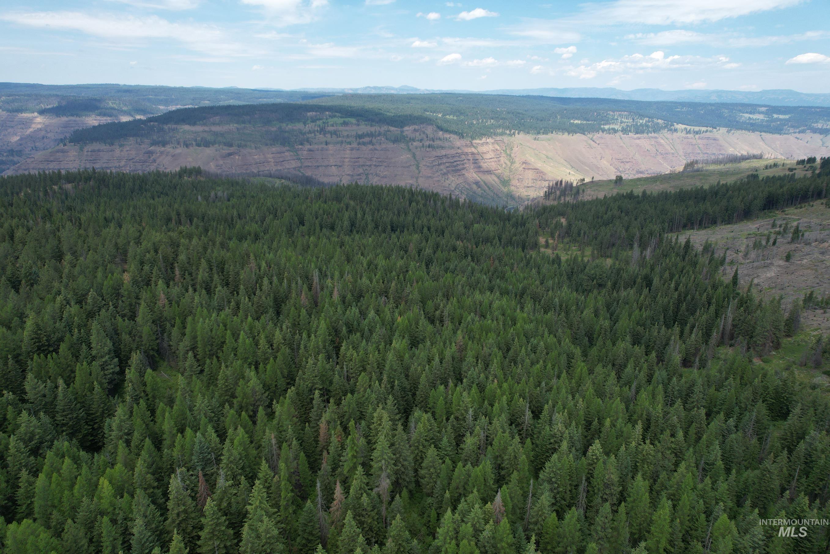 Tbd Sickfoot Road Wallowa, OR 97885 - Photo 7 of 18 Aerial view of a mountainous background and a heavily wooded area