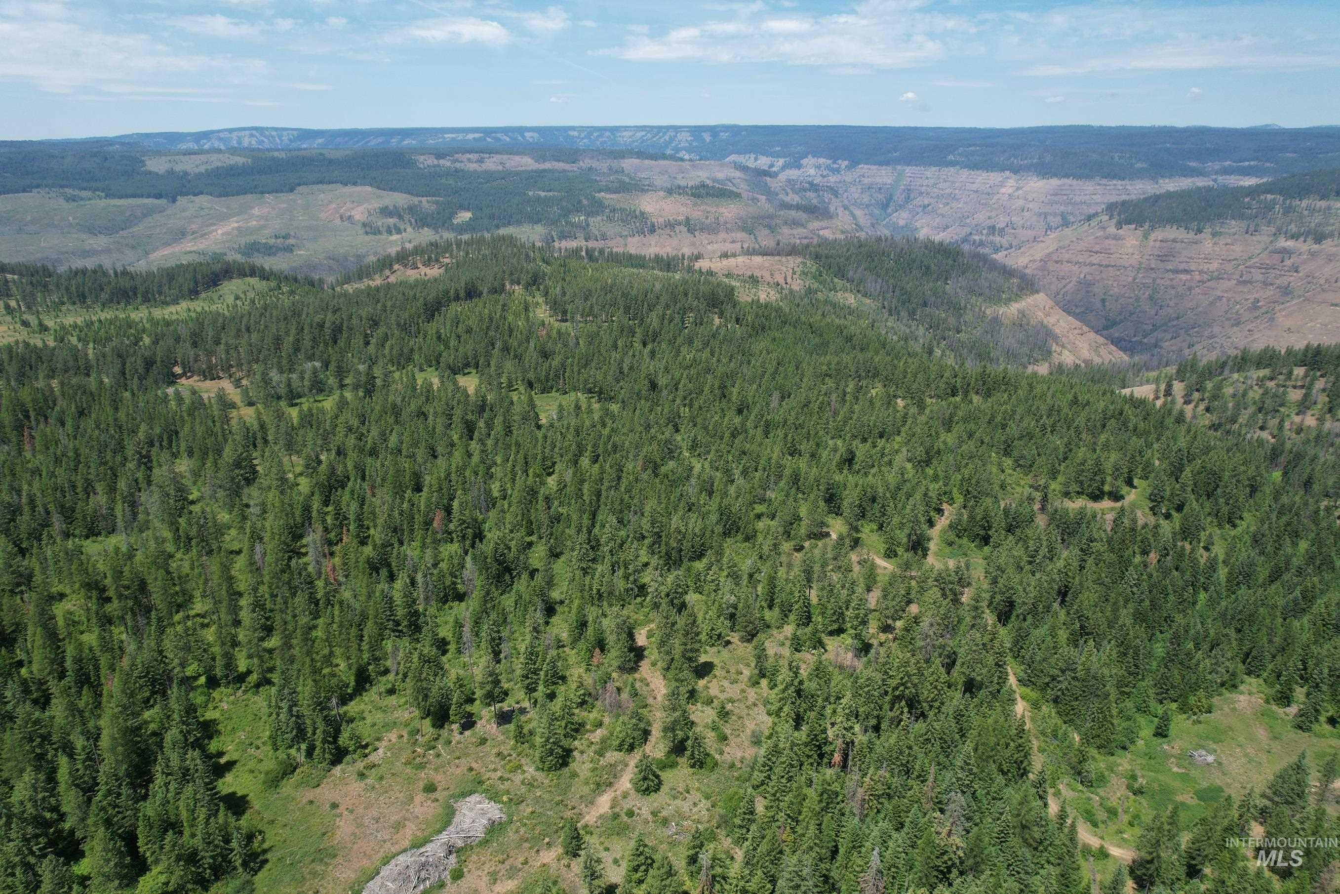 Tbd Sickfoot Road Wallowa, OR 97885 - Photo 8 of 18 Aerial overview of property's location featuring a mountain backdrop and a heavily wooded area