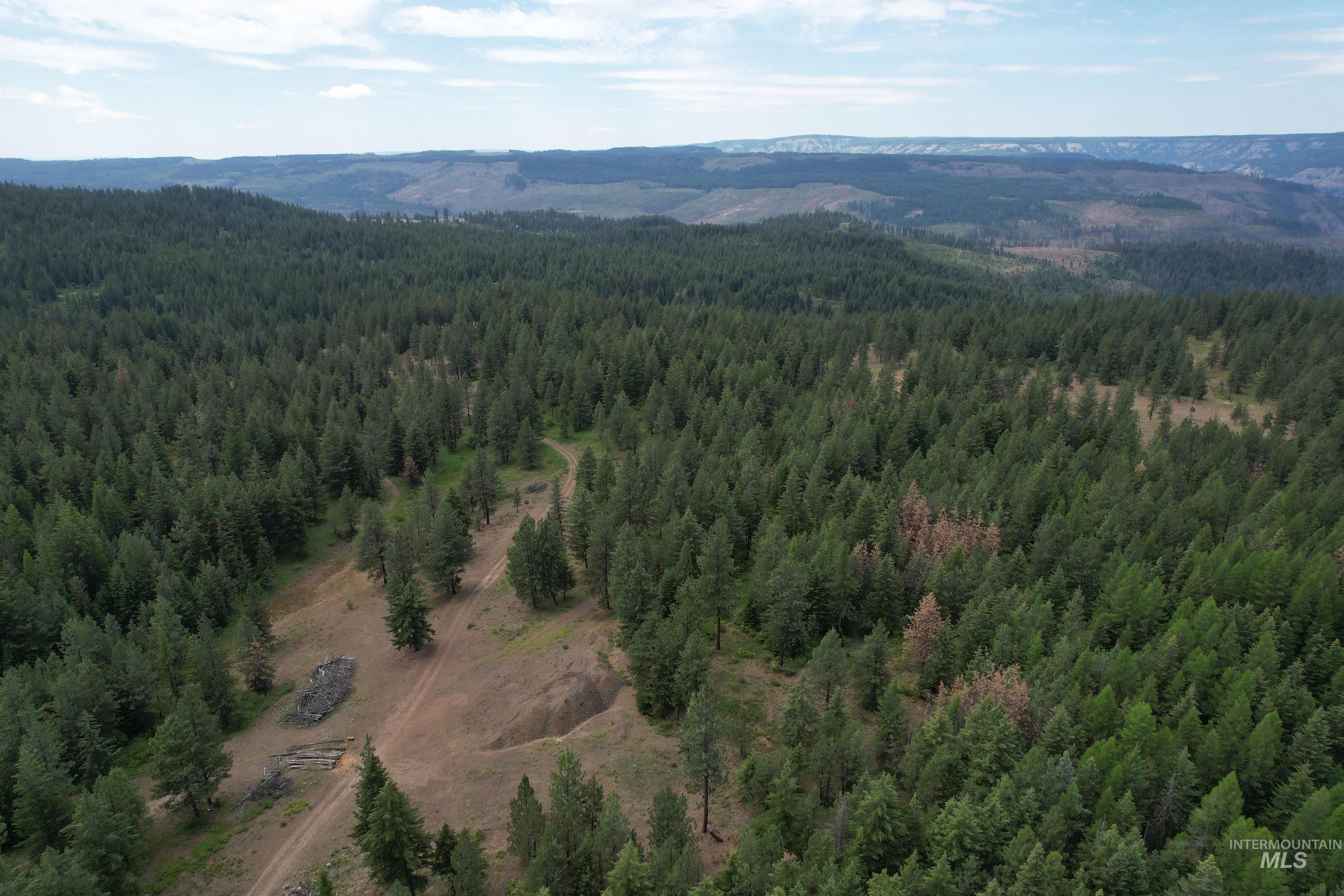 Tbd Sickfoot Road Wallowa, OR 97885 - Photo 9 of 18 Aerial view of a forest and a mountain backdrop