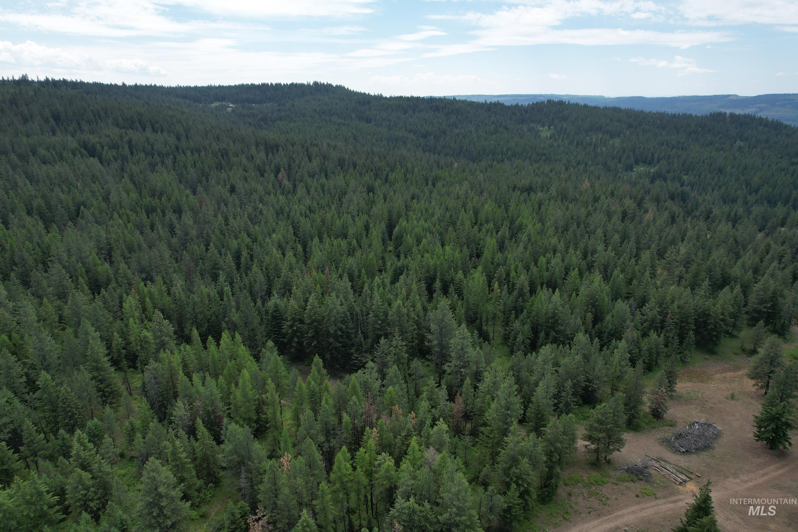 Tbd Sickfoot Road Wallowa, OR 97885 - Photo 10 of 18 Aerial view of a forest and a mountainous background