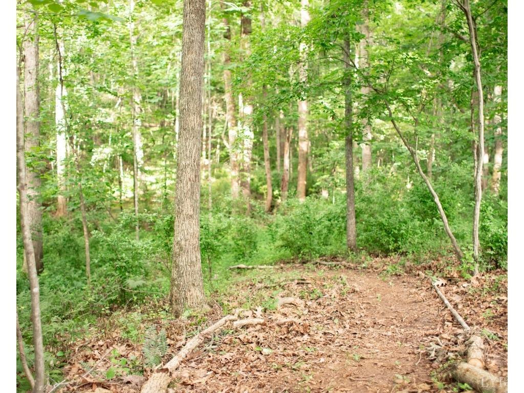 708 Kings Road Lynchburg, VA 24503 - Photo 37 of 37 Gallery Image 37