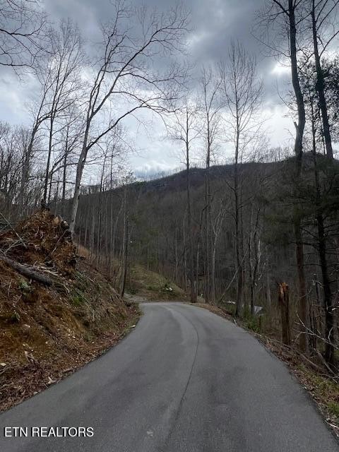 0 Loop Road Road Gatlinburg, TN 37738 - Photo 4 of 11 Gallery Image 4