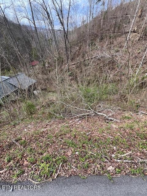 0 Loop Road Road Gatlinburg, TN 37738 - Photo 8 of 11 Gallery Image 8