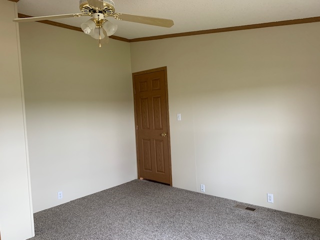 1456 Perbix Road Chapin, IL 62628 - Photo 36 of 37