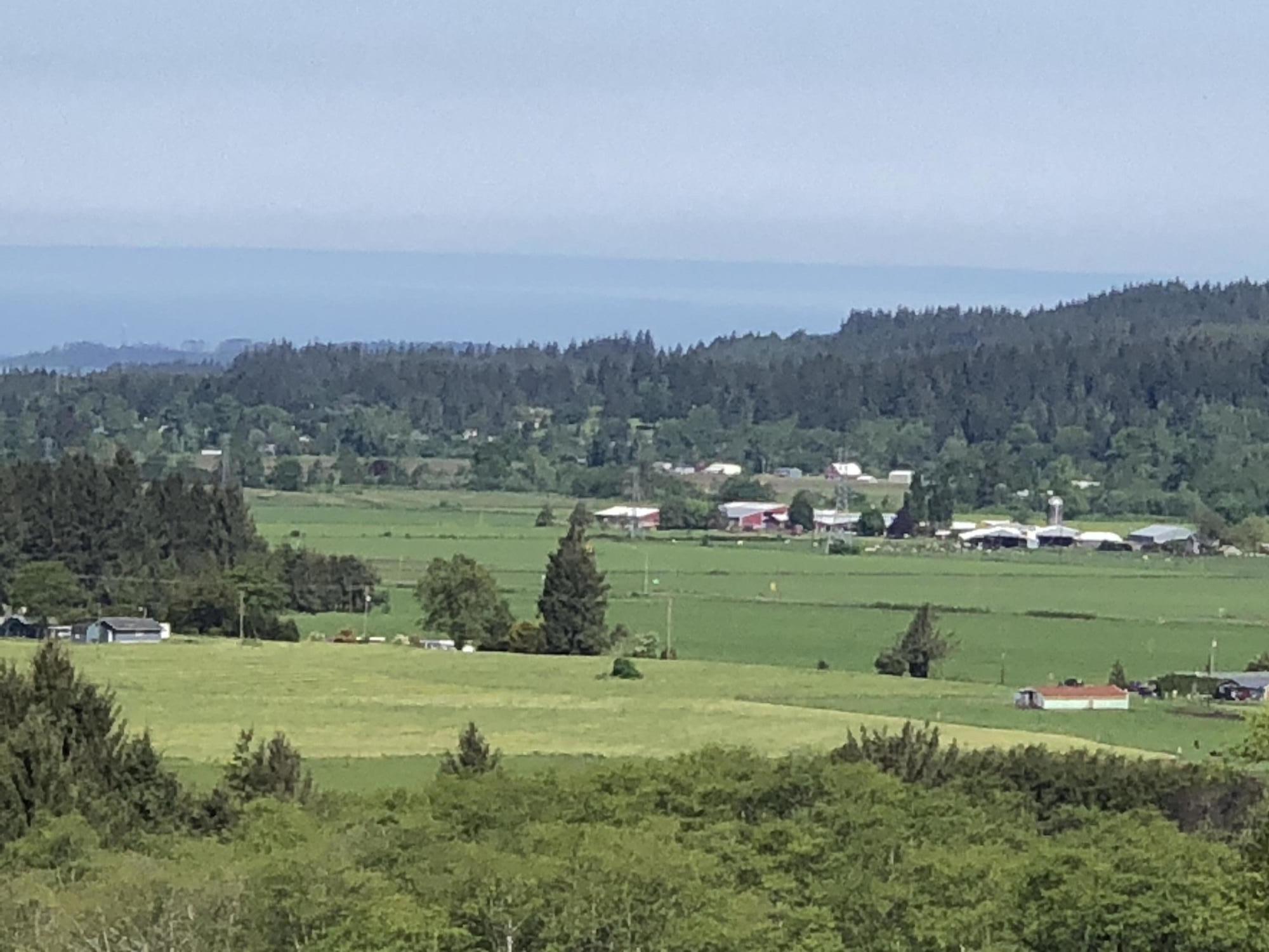 201 Hodgdon Road Tillamook, OR 97141 - Photo 16 of 33 IMG_7797