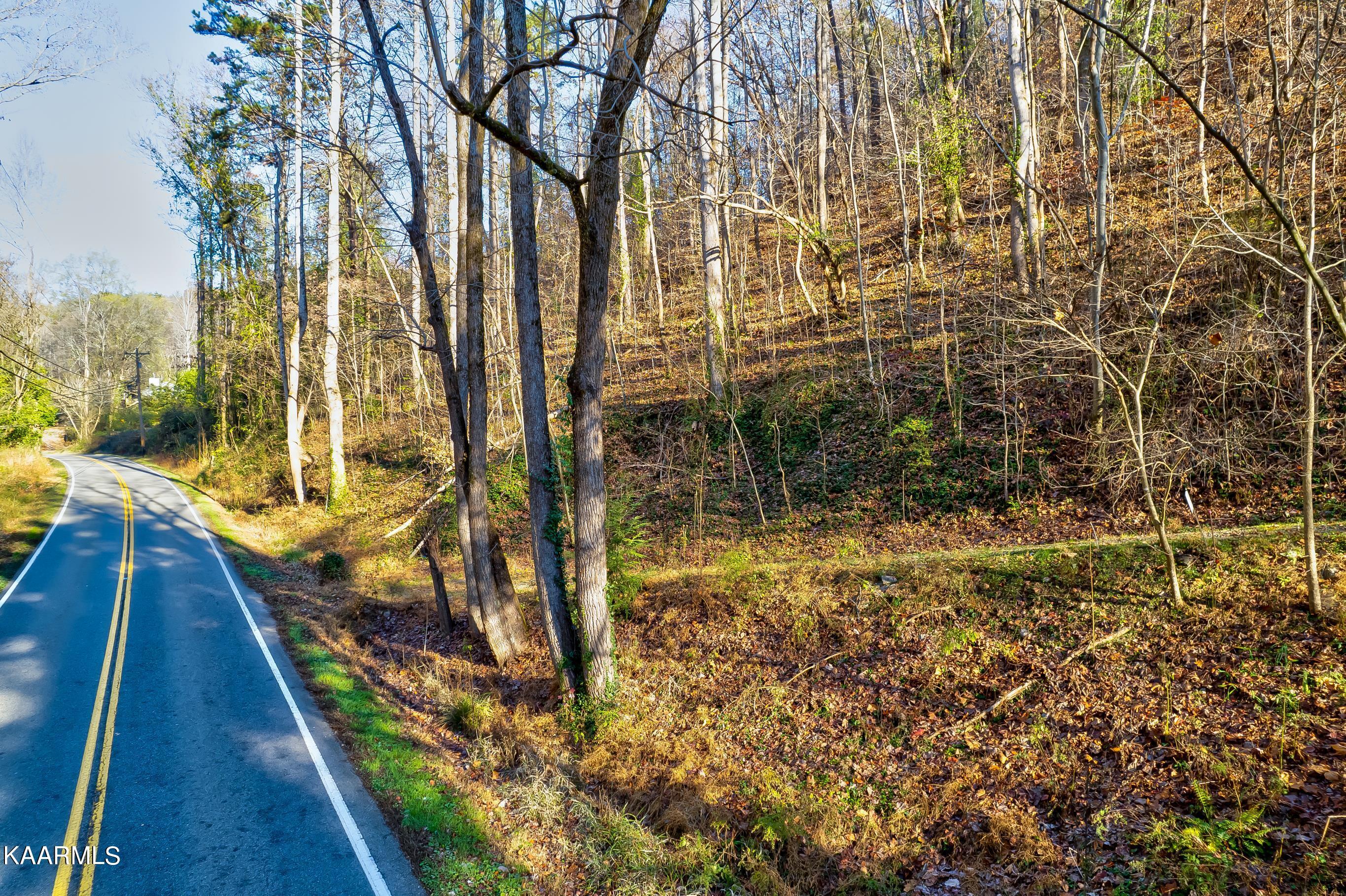 Montvale Road Maryville, TN 37803 - Photo 2 of 8 1