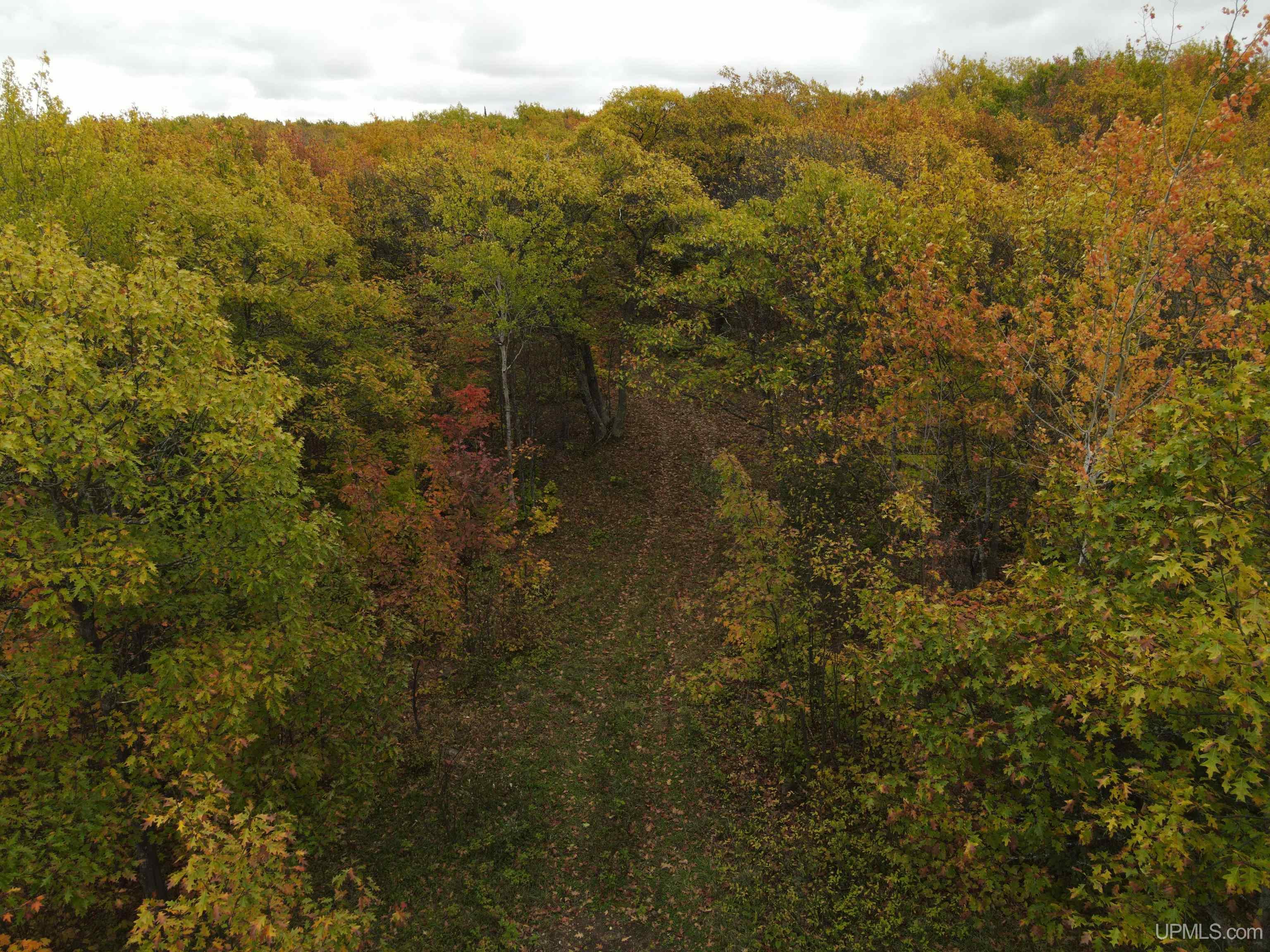 1021 Sedar Hill(parcel D) Road, Unit PARCEL D) Calumet, MI 49913 - Photo 7 of 40
