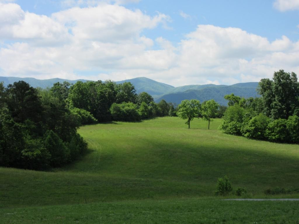 611 Jay Fanning Road Afton, TN 37616 - Photo 2 of 22 Mountain View