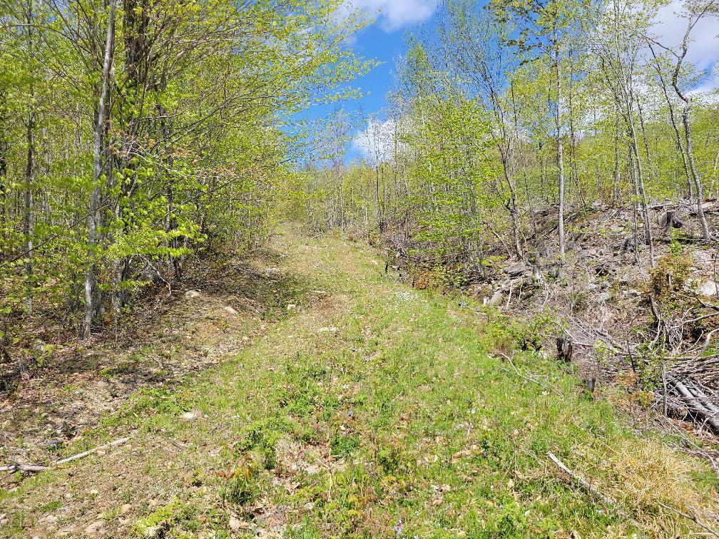 Lot 11 Swift River Road Byron, ME 04275 - Photo 53 of 72 photo_d5d77514-e6a3-4f29-96bc-bd7e98702e
