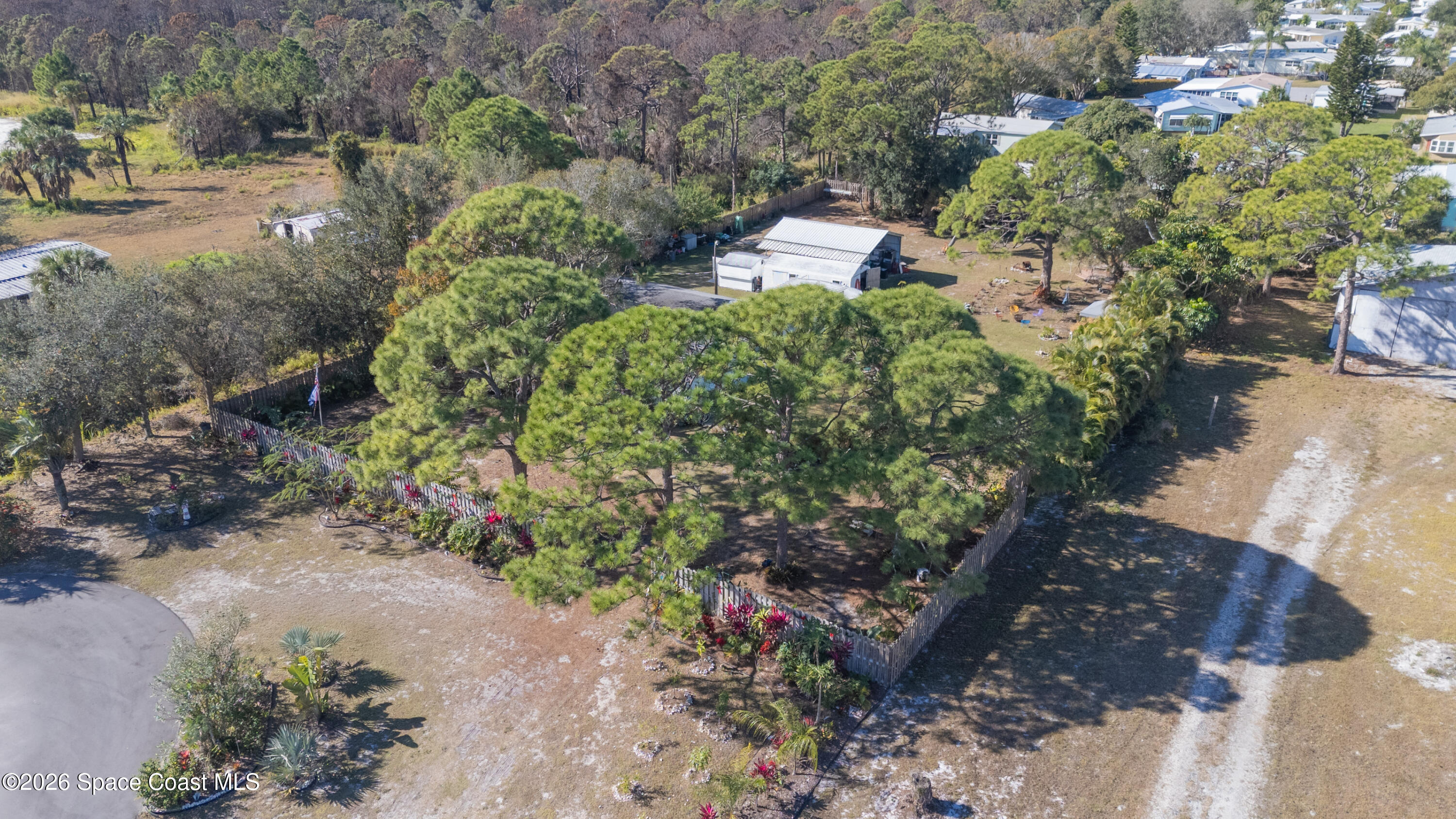 8280 Pine Ridge Trail Sebastian, FL 32976 - Photo 32 of 43 a view of a garden with plants and a bench