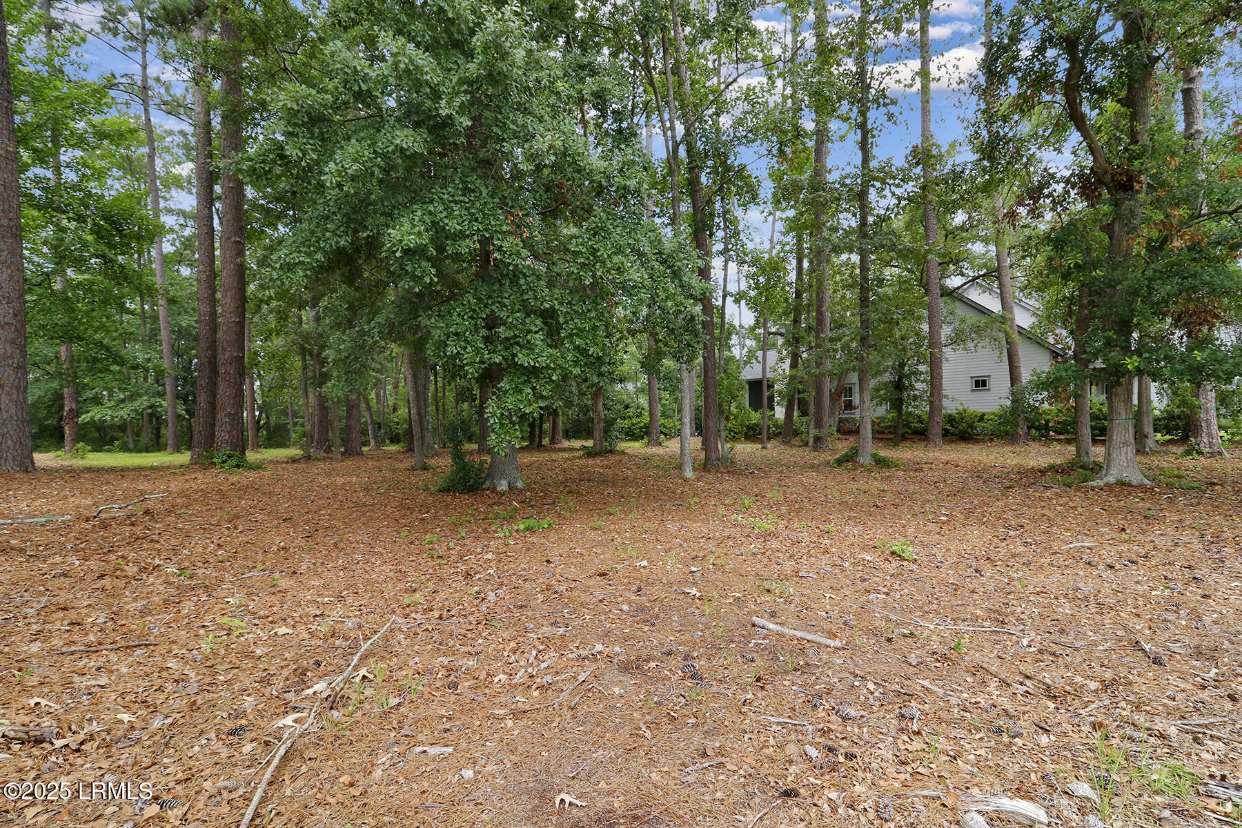 153 Good Hope Road Okatie, SC 29909 - Photo 12 of 28 _D9A4923