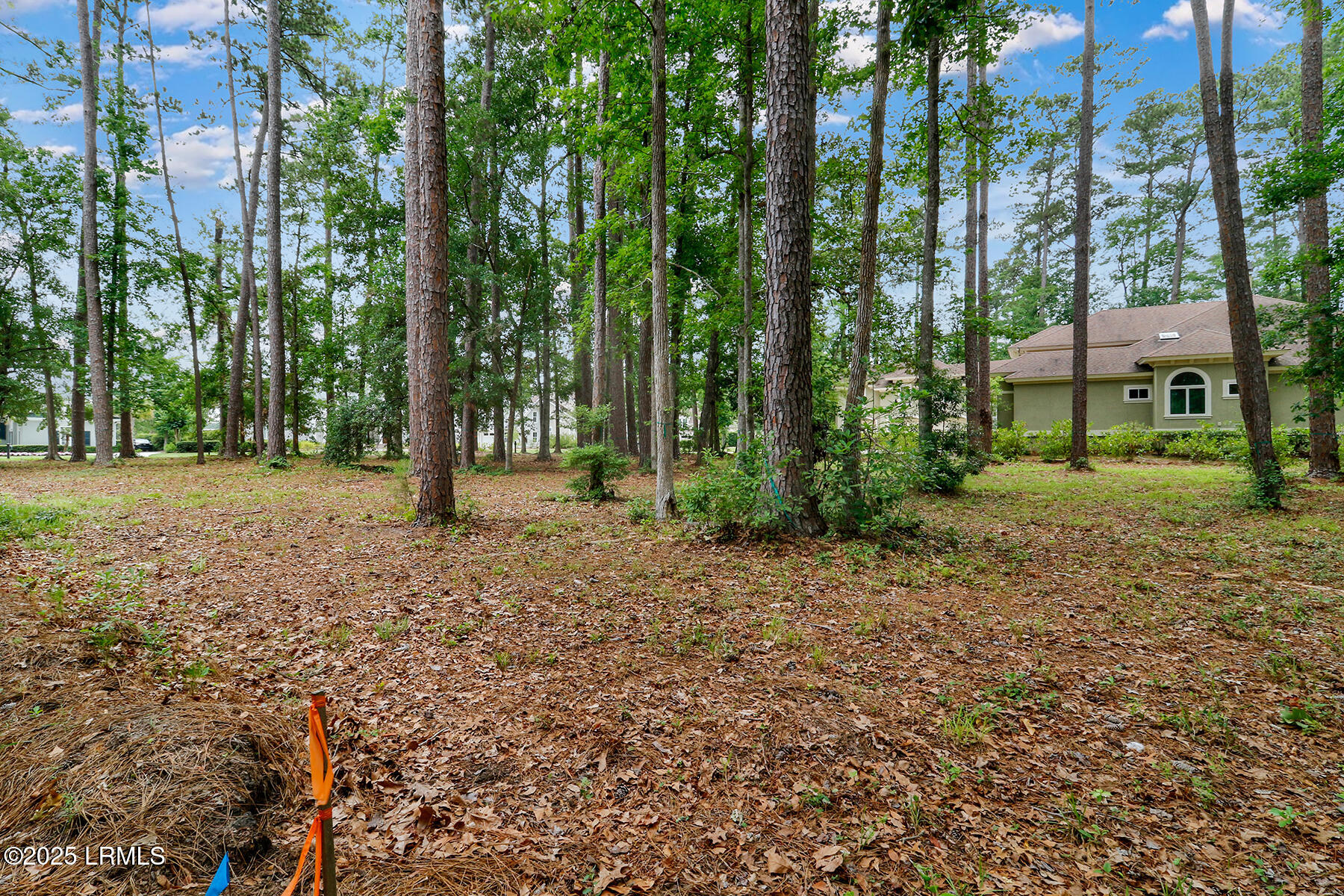 153 Good Hope Road Okatie, SC 29909 - Photo 15 of 28 _D9A4944