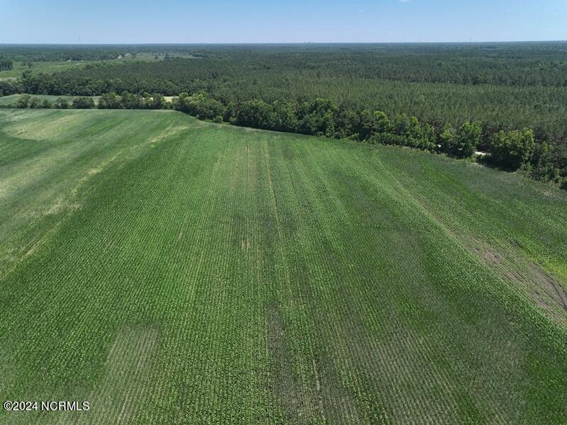 Tbd Natmore Road Kelly, NC 28448 - Photo 3 of 16 dji_fly_20240615_150618_0049_17184920116