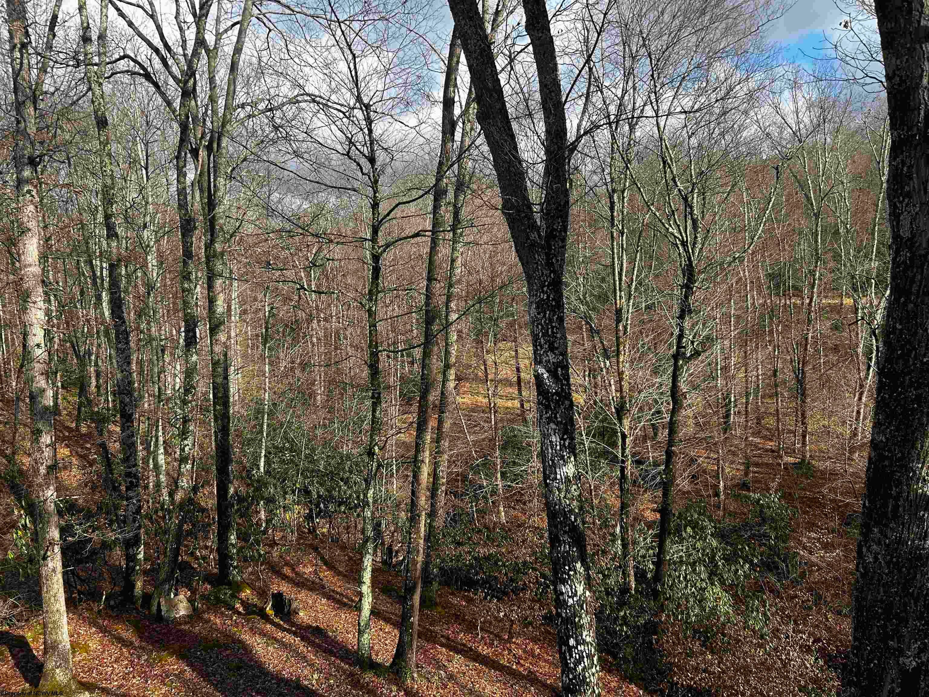 1651 Mabie Road Mabie, WV 26278 - Photo 14 of 28 Gallery Image 14
