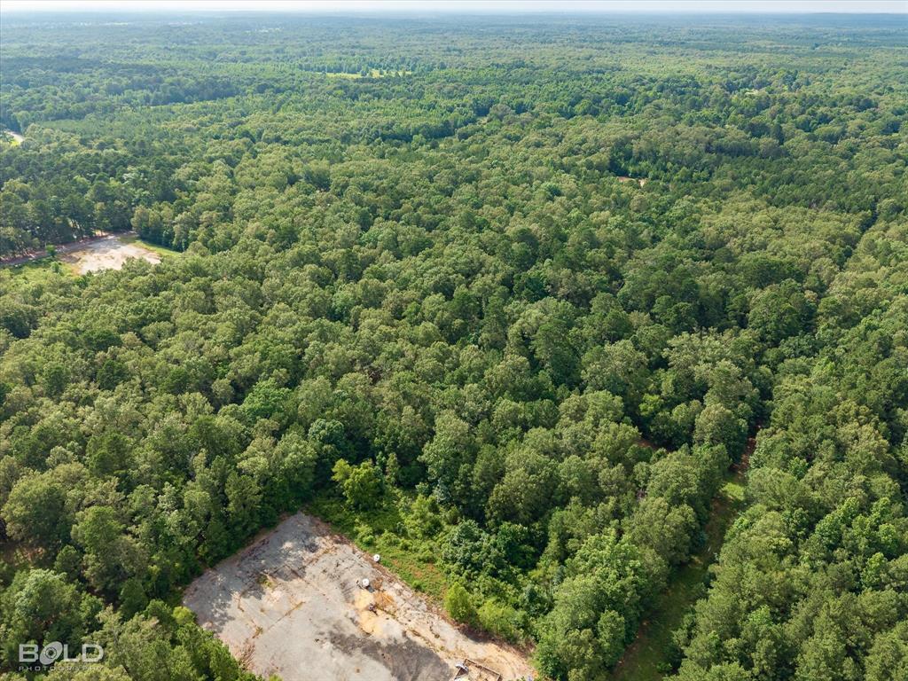 470 Pine Hill Road Elm Grove, LA 71051 - Photo 13 of 21