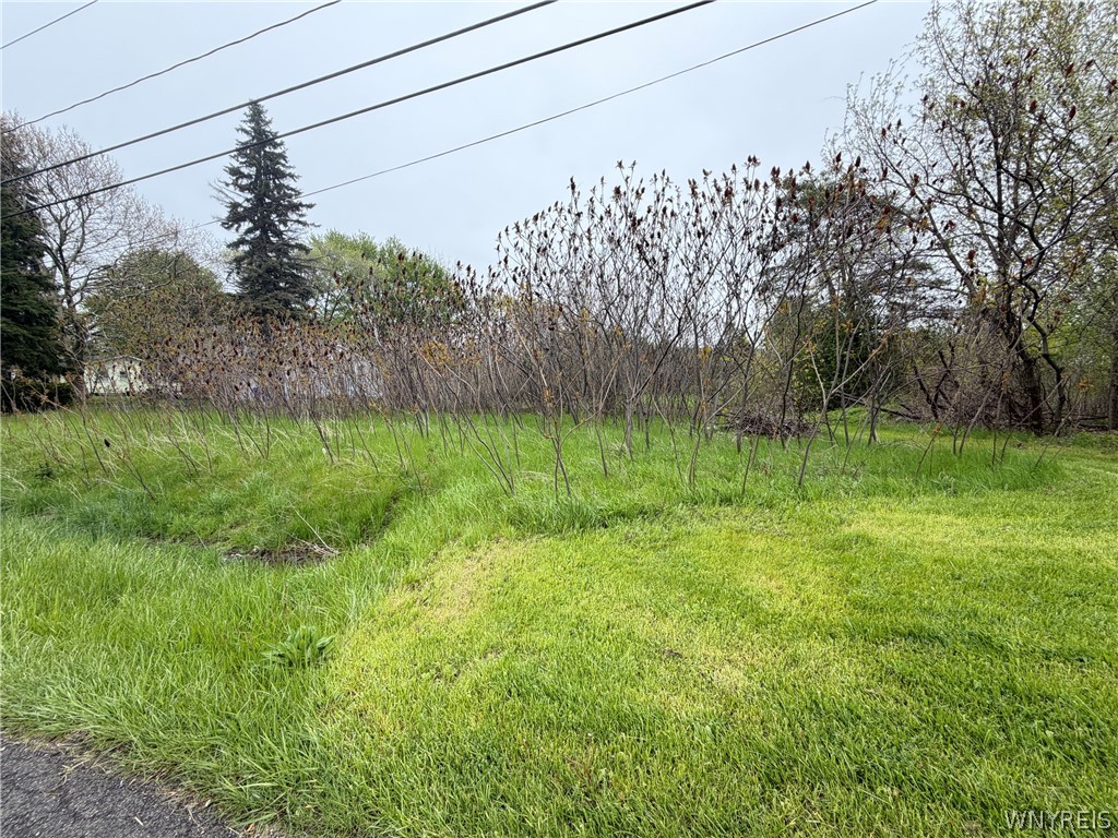 Vl Ridge Road Ransomville, NY 14131 - Photo 3 of 4