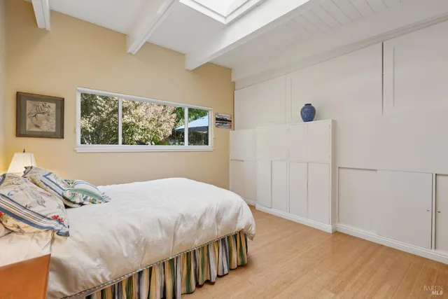 a view of a garden with plants