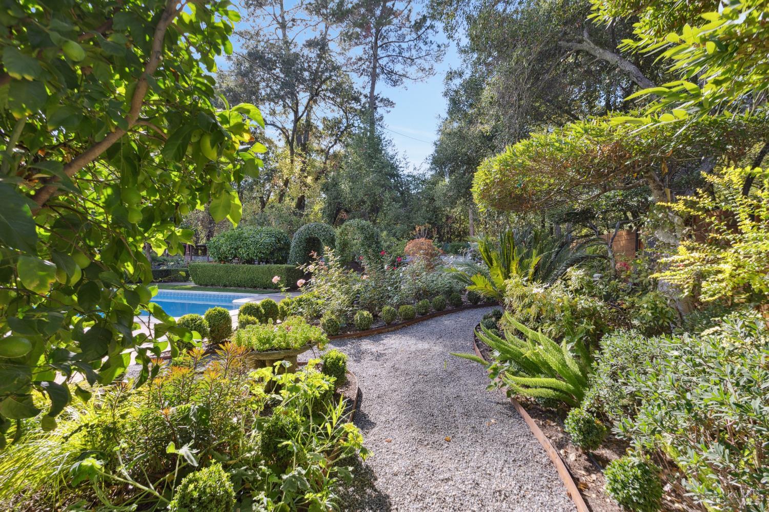 1030 Yell Road Glen Ellen, CA 95442 - Photo 54 of 73 a view of a garden with plants