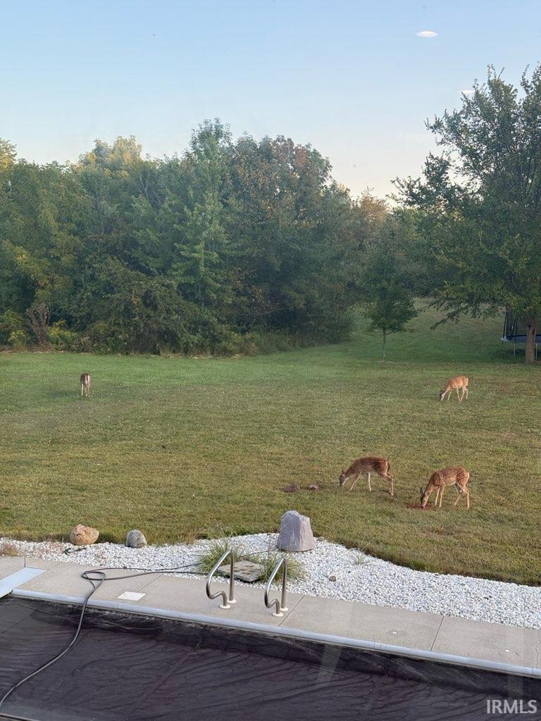 17921 Lochner Road Leo, IN 46765 - Photo 8 of 36